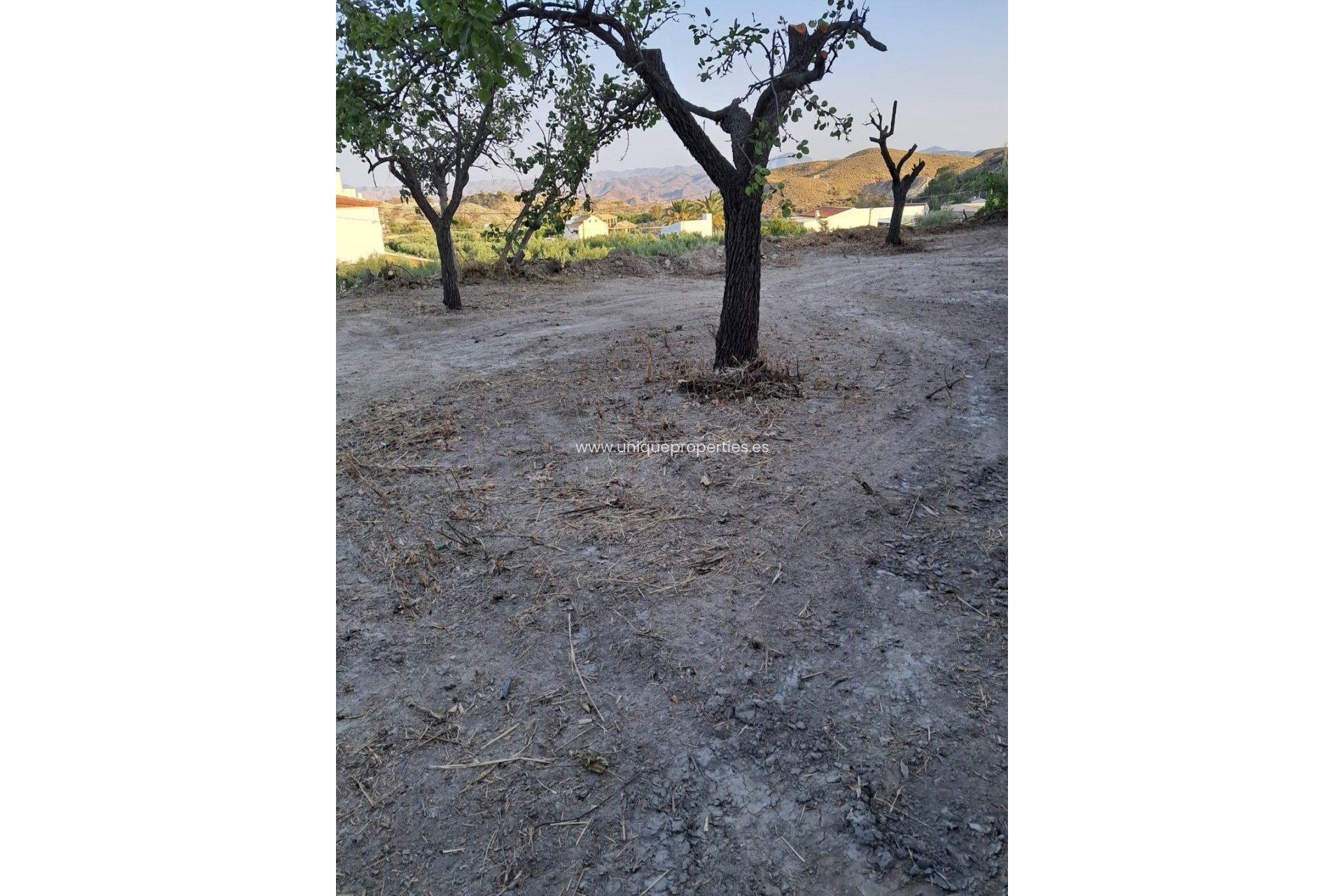 Resale - Commercial -
Partaloa