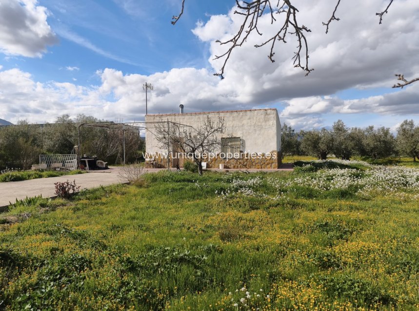 Resale - Cortijo -
Baza