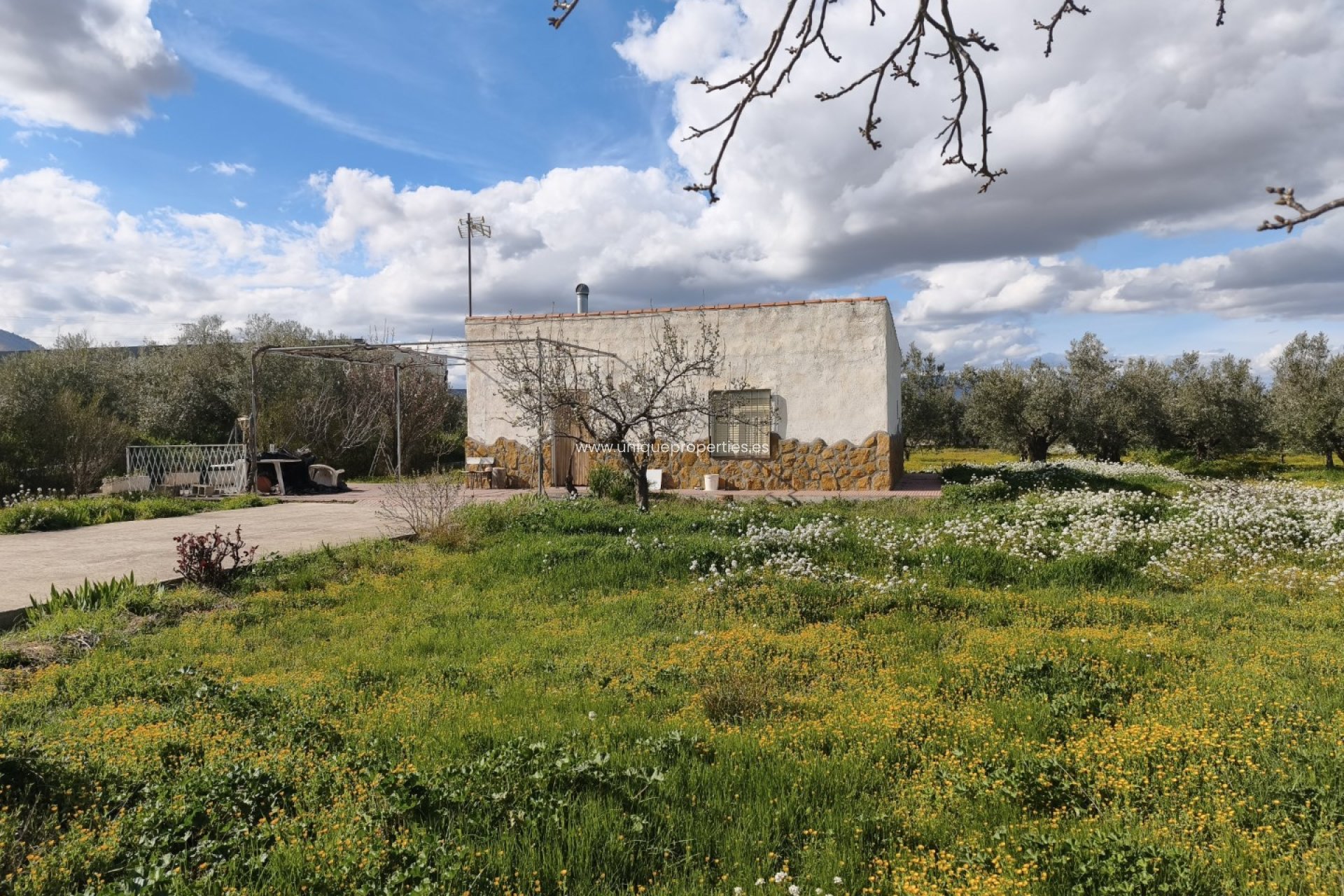 Resale - Cortijo -
Baza