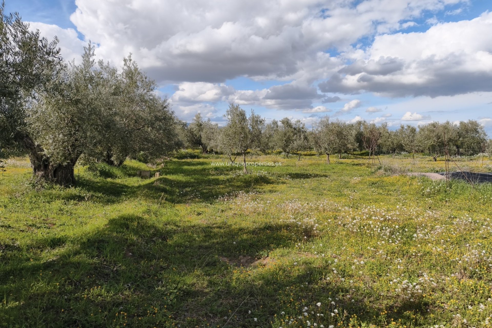 Resale - Cortijo -
Baza