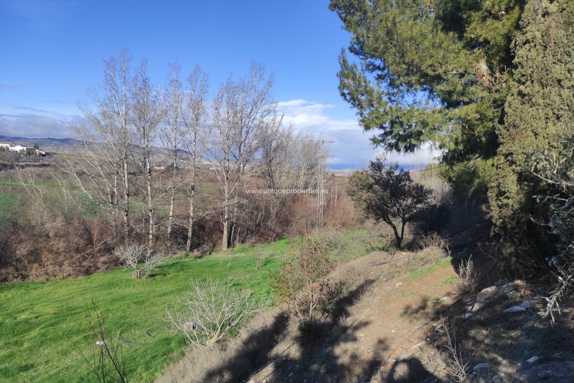 Resale - Cortijo -
Caniles