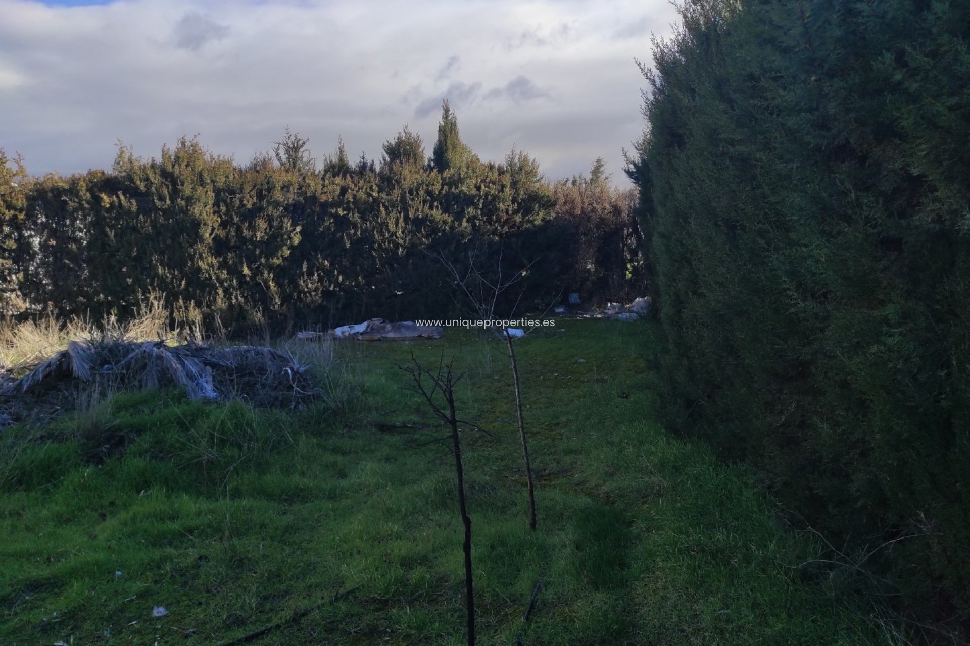 Resale - Cortijo -
Caniles