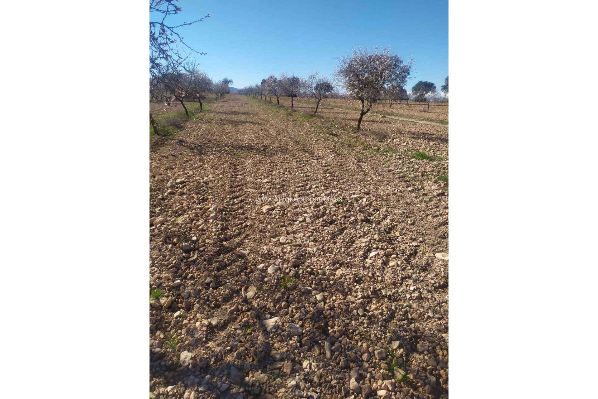 Resale - Cortijo -
Guadix