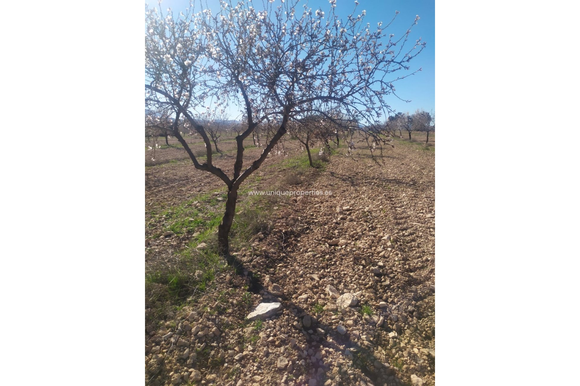 Resale - Cortijo -
Guadix