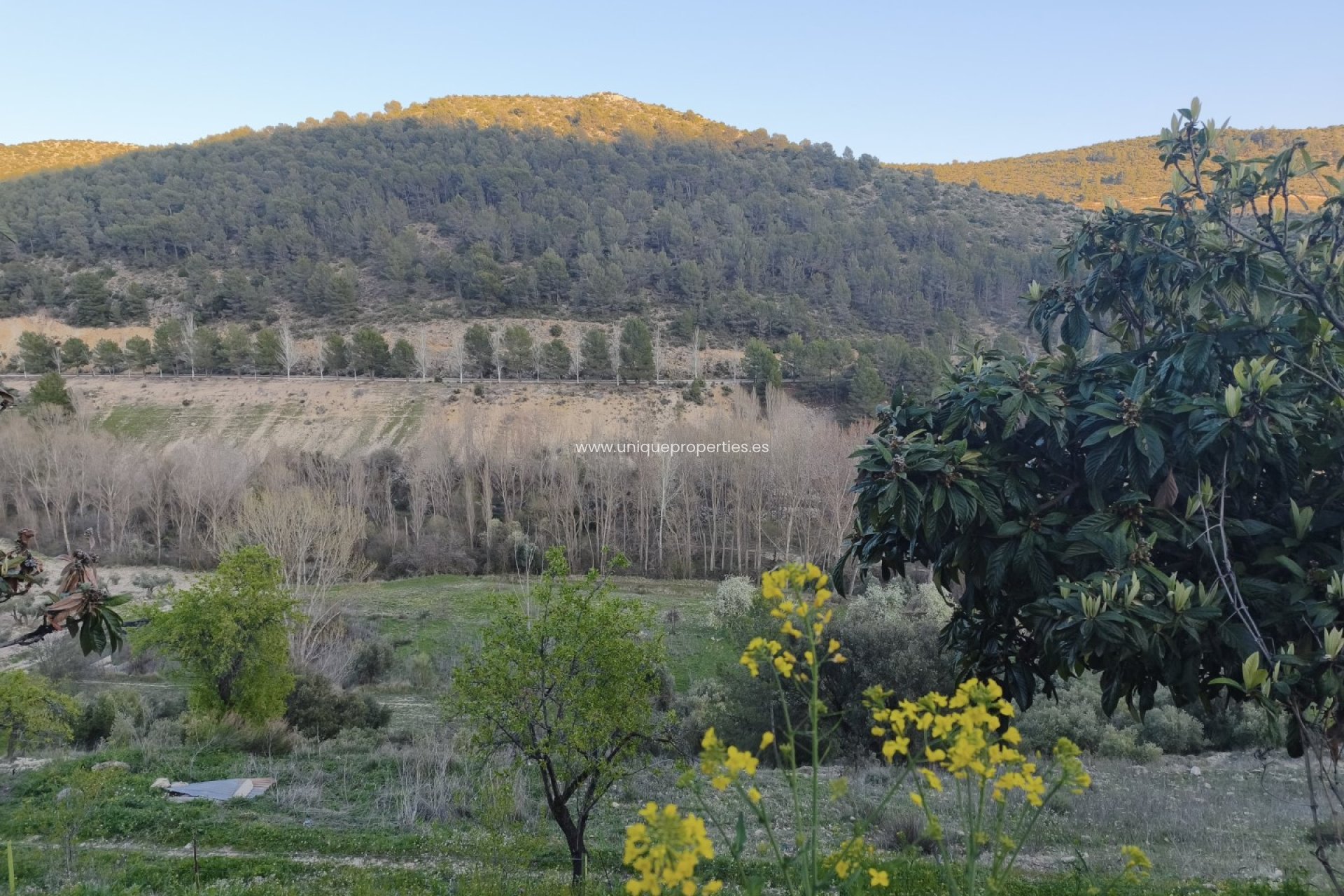 Resale - Cortijo -
Huescar