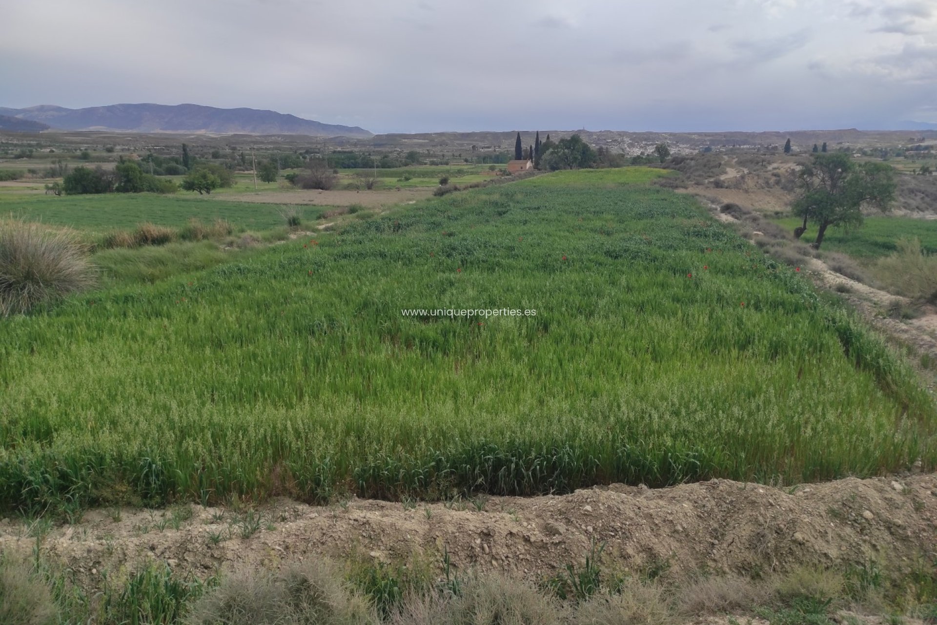 Resale - Cortijo -
Huescar