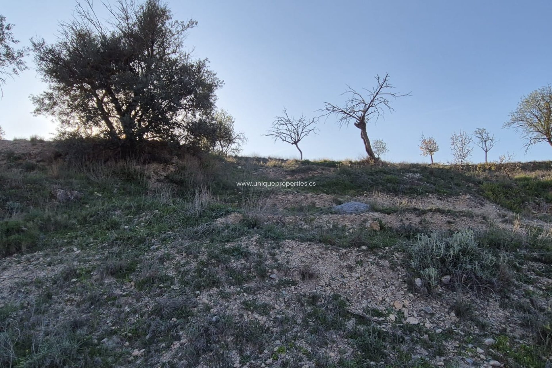 Resale - Cortijo -
Urracal