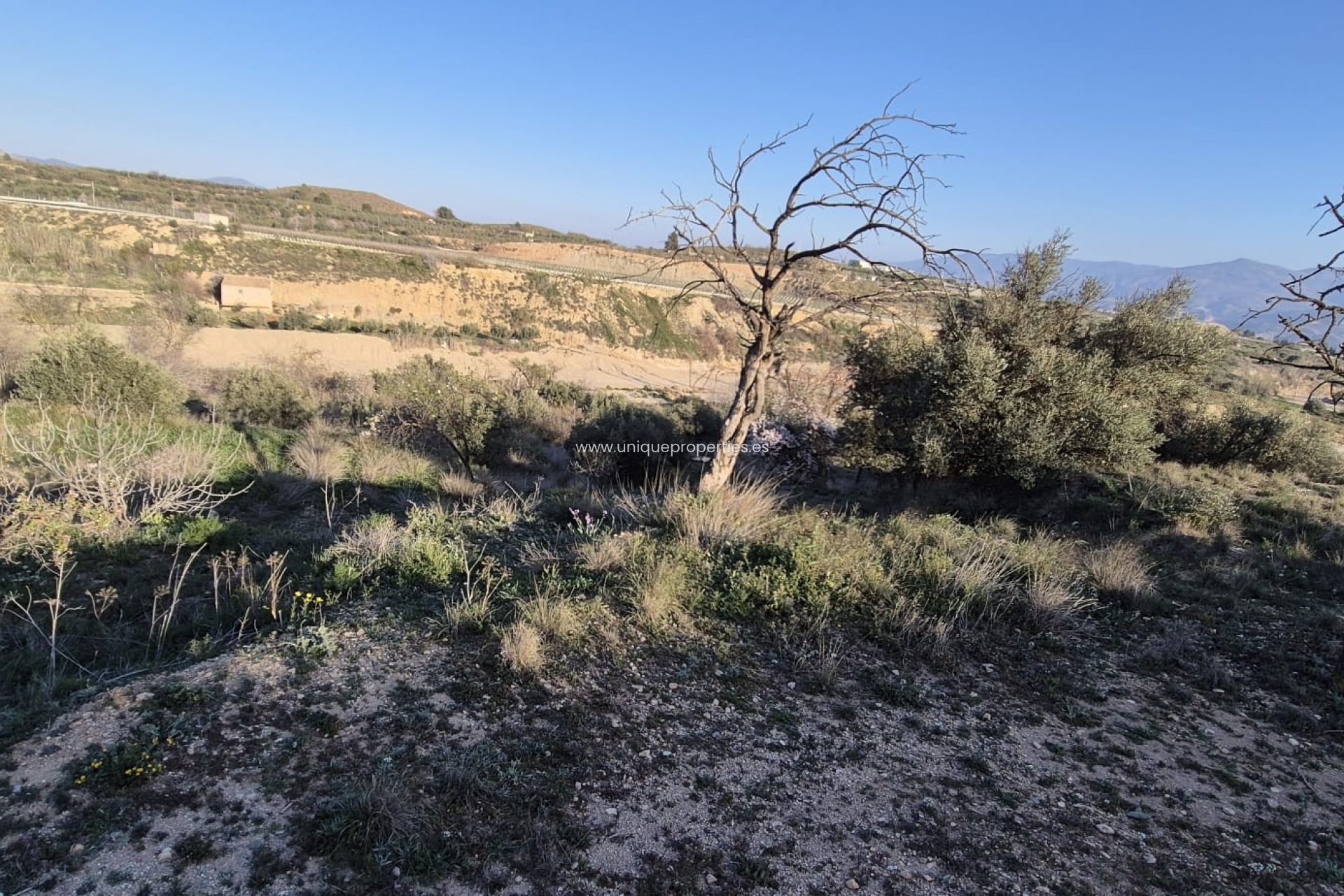 Resale - Cortijo -
Urracal