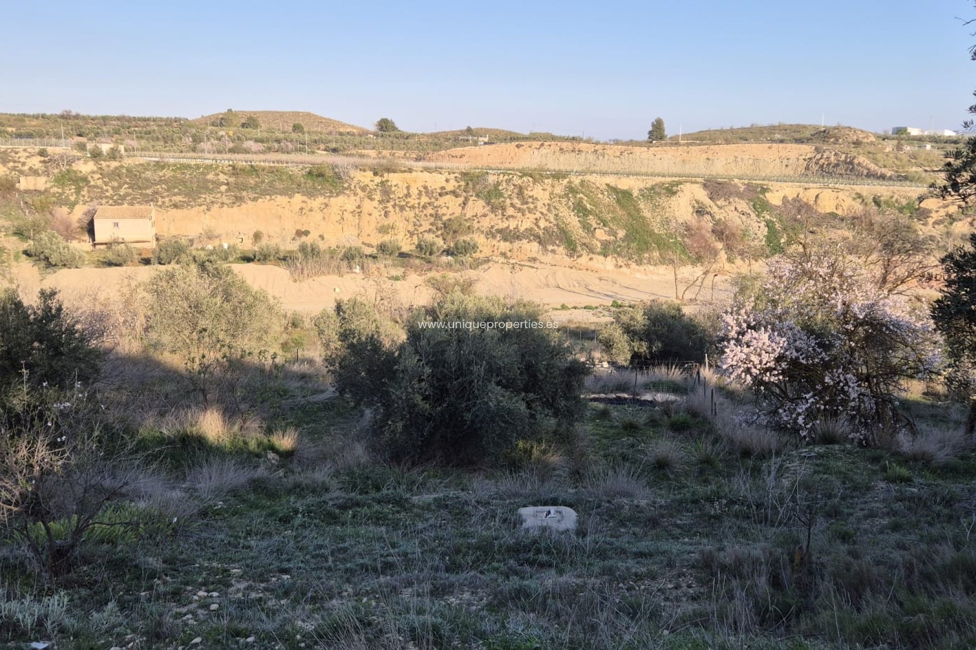 Resale - Cortijo -
Urracal