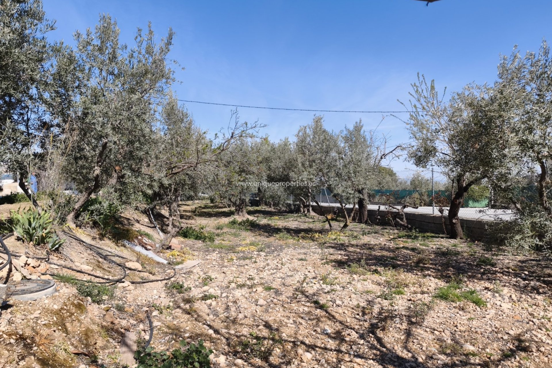 Resale - Country House -
Baza