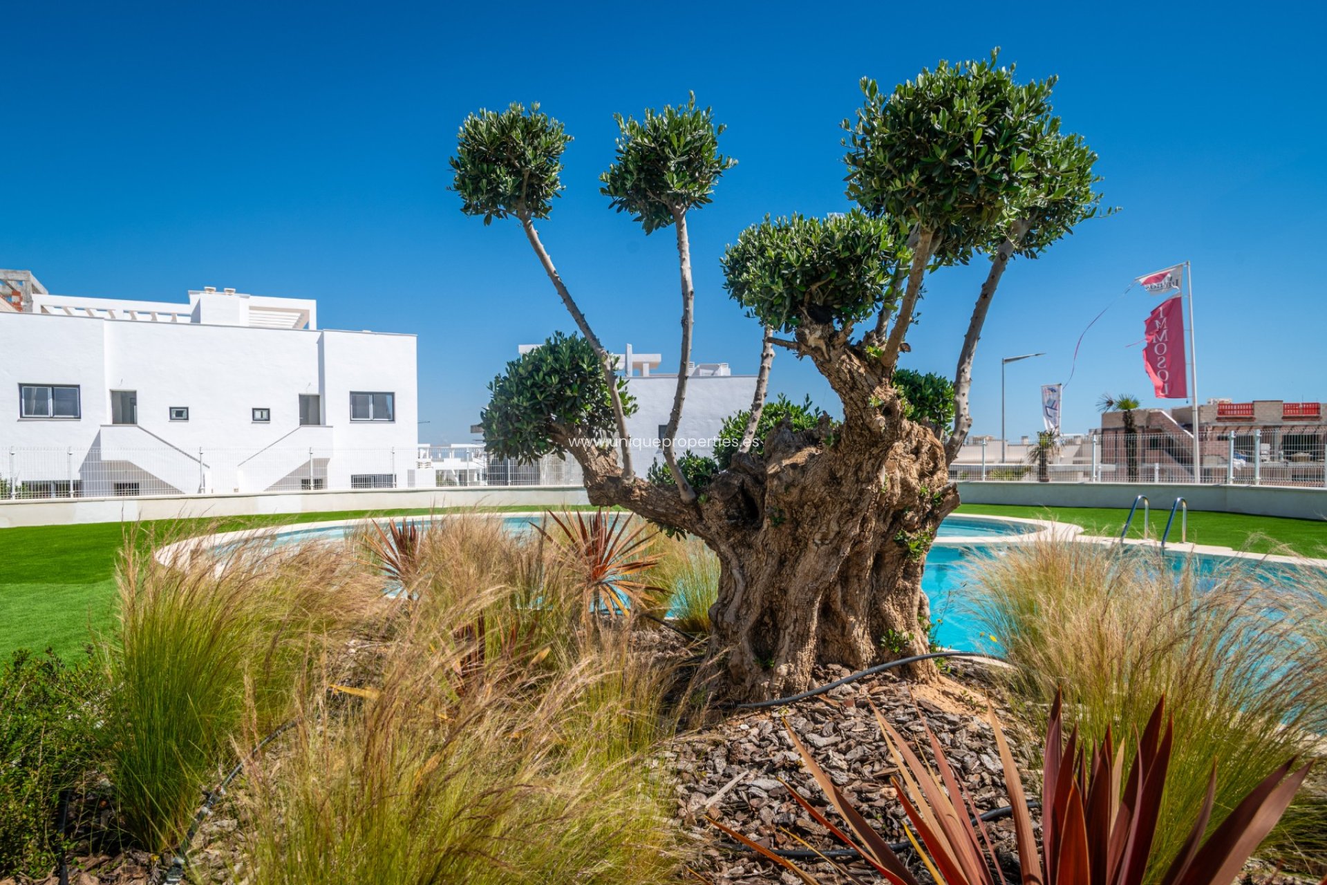 Resale - Ground Floor -
Torrevieja - Los Balcones
