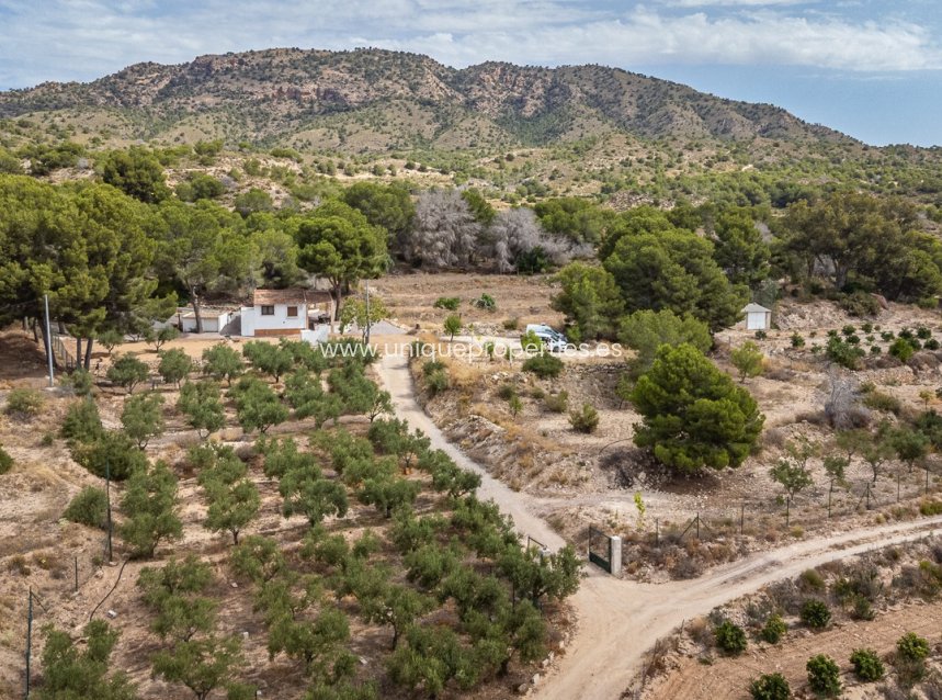 Resale - House -
LA TERCIA - La Tercia