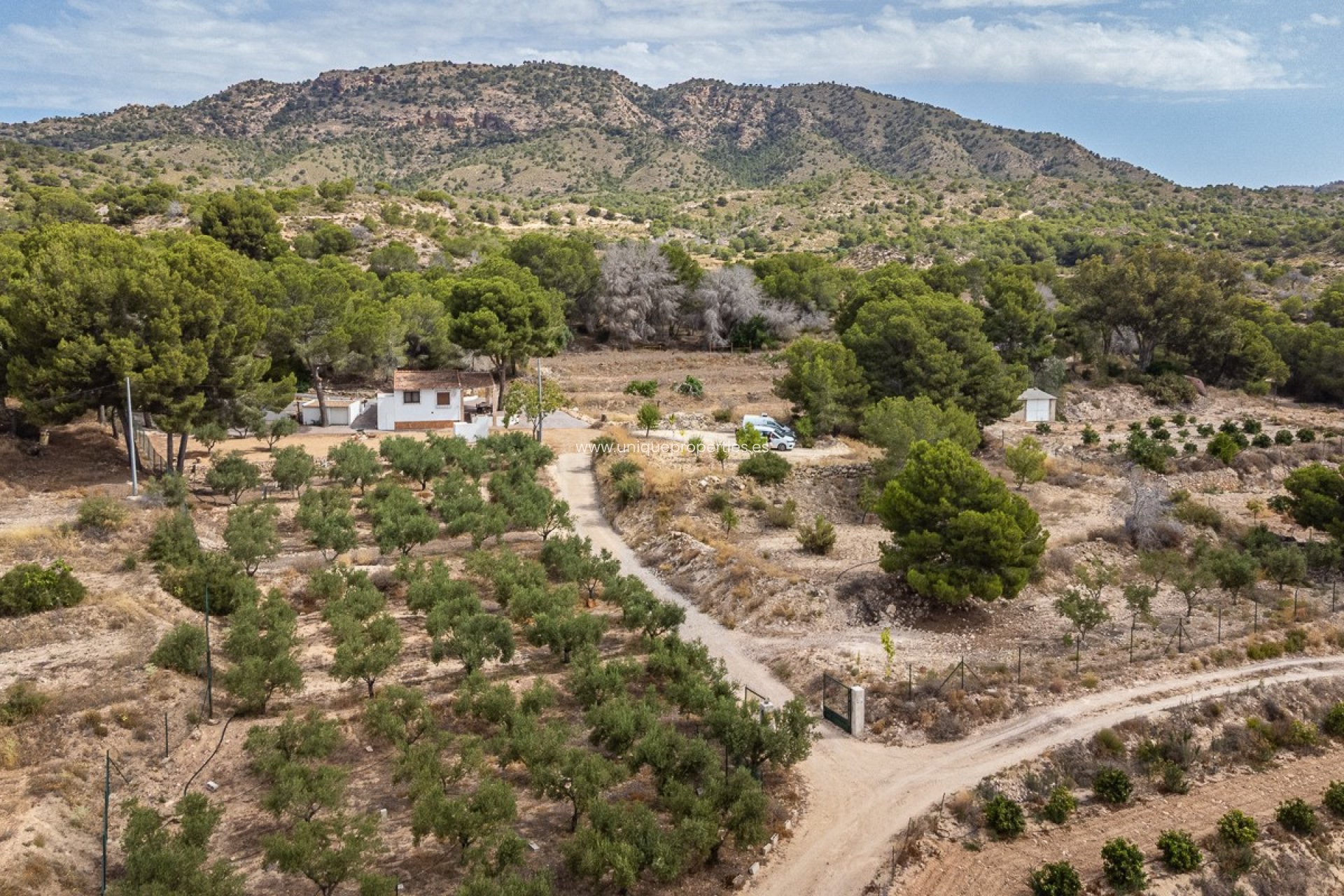 Resale - House -
LA TERCIA - La Tercia