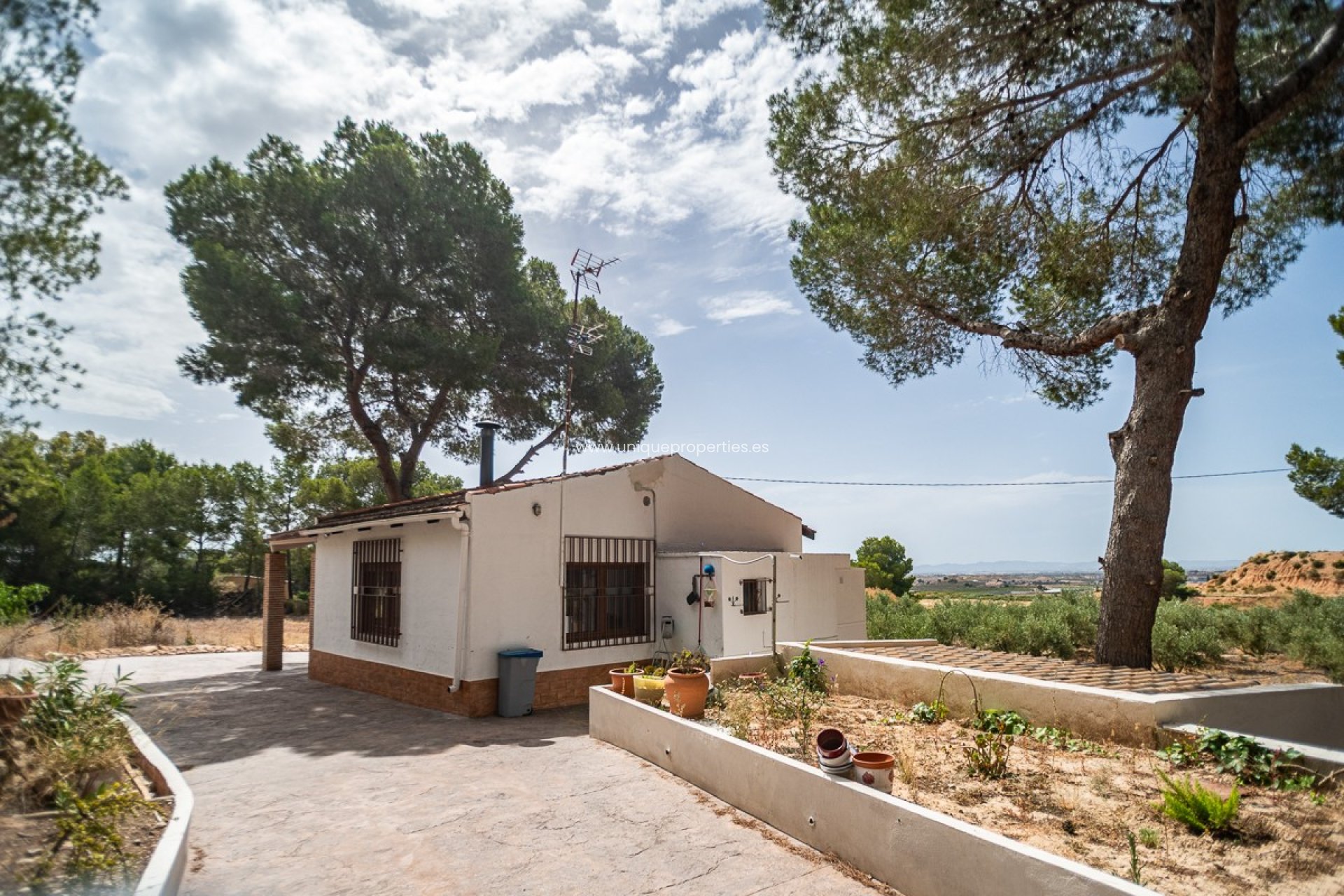 Resale - House -
LA TERCIA - La Tercia