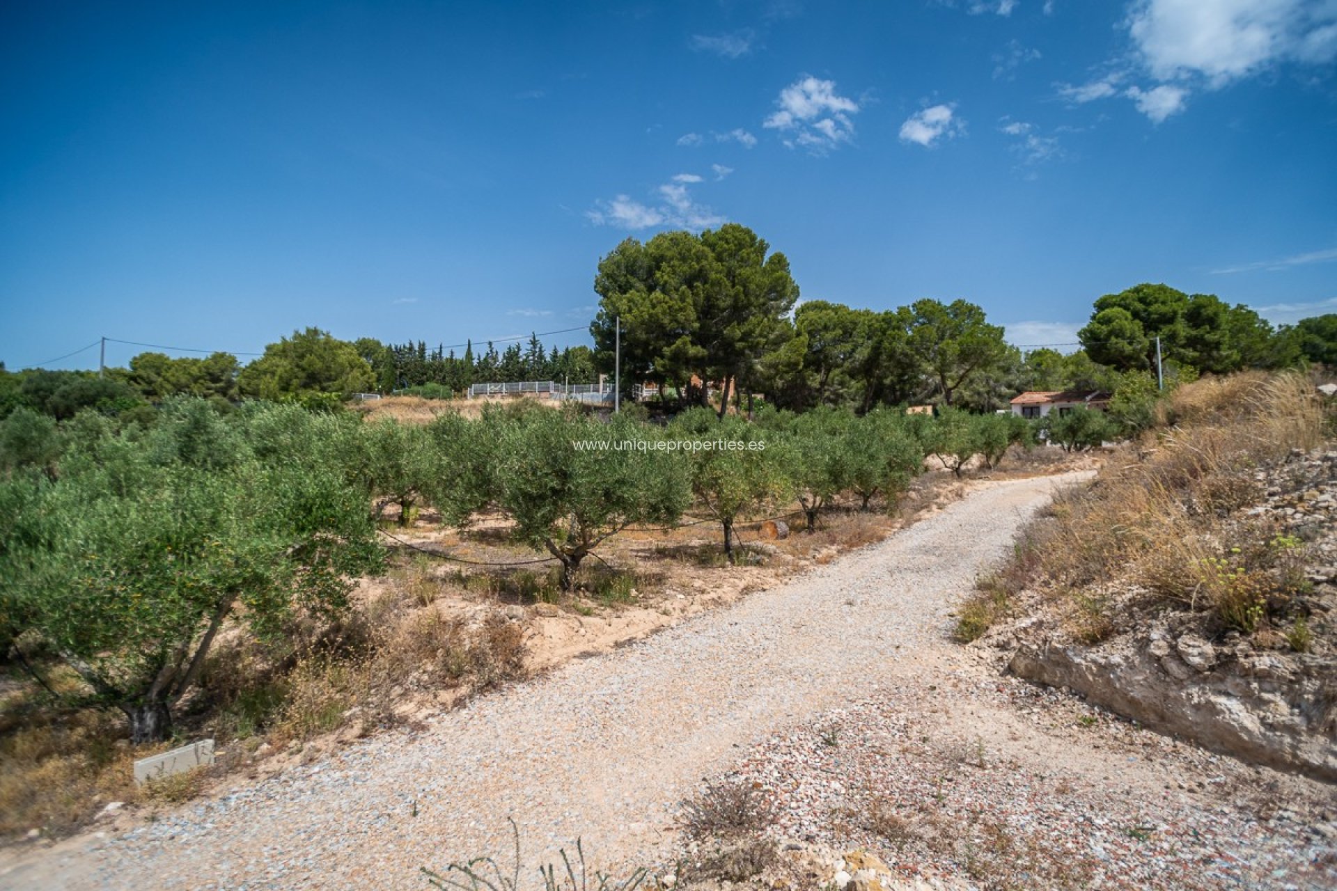 Resale - House -
LA TERCIA - La Tercia