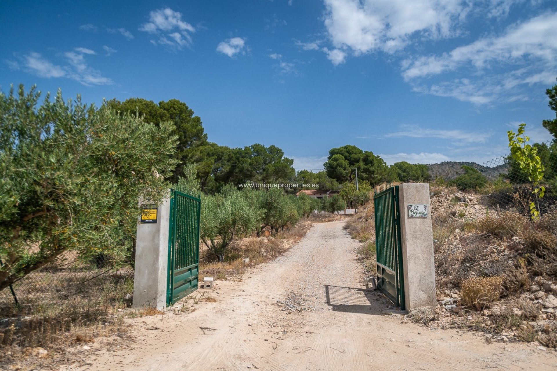 Resale - House -
LA TERCIA - La Tercia