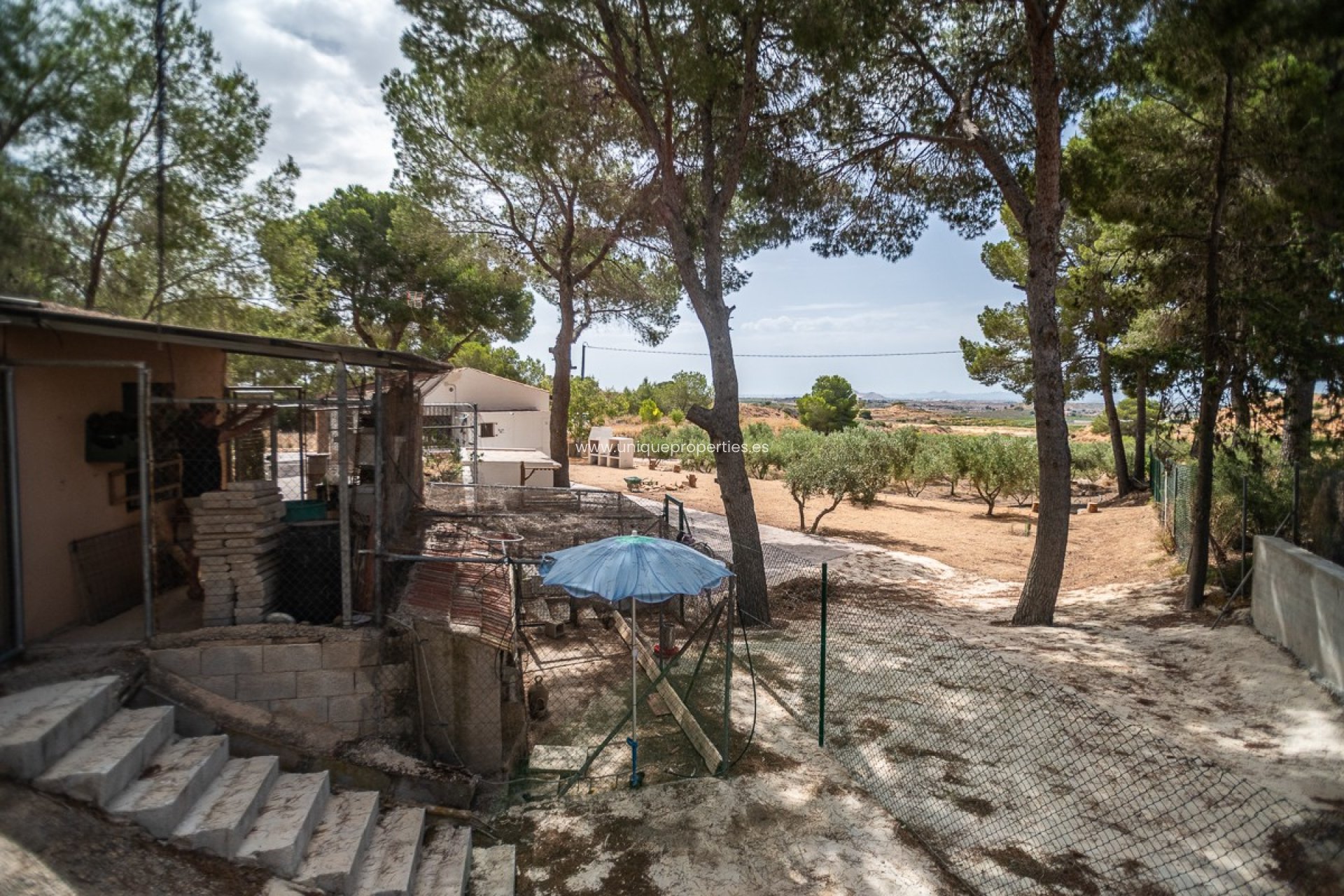Resale - House -
LA TERCIA - La Tercia