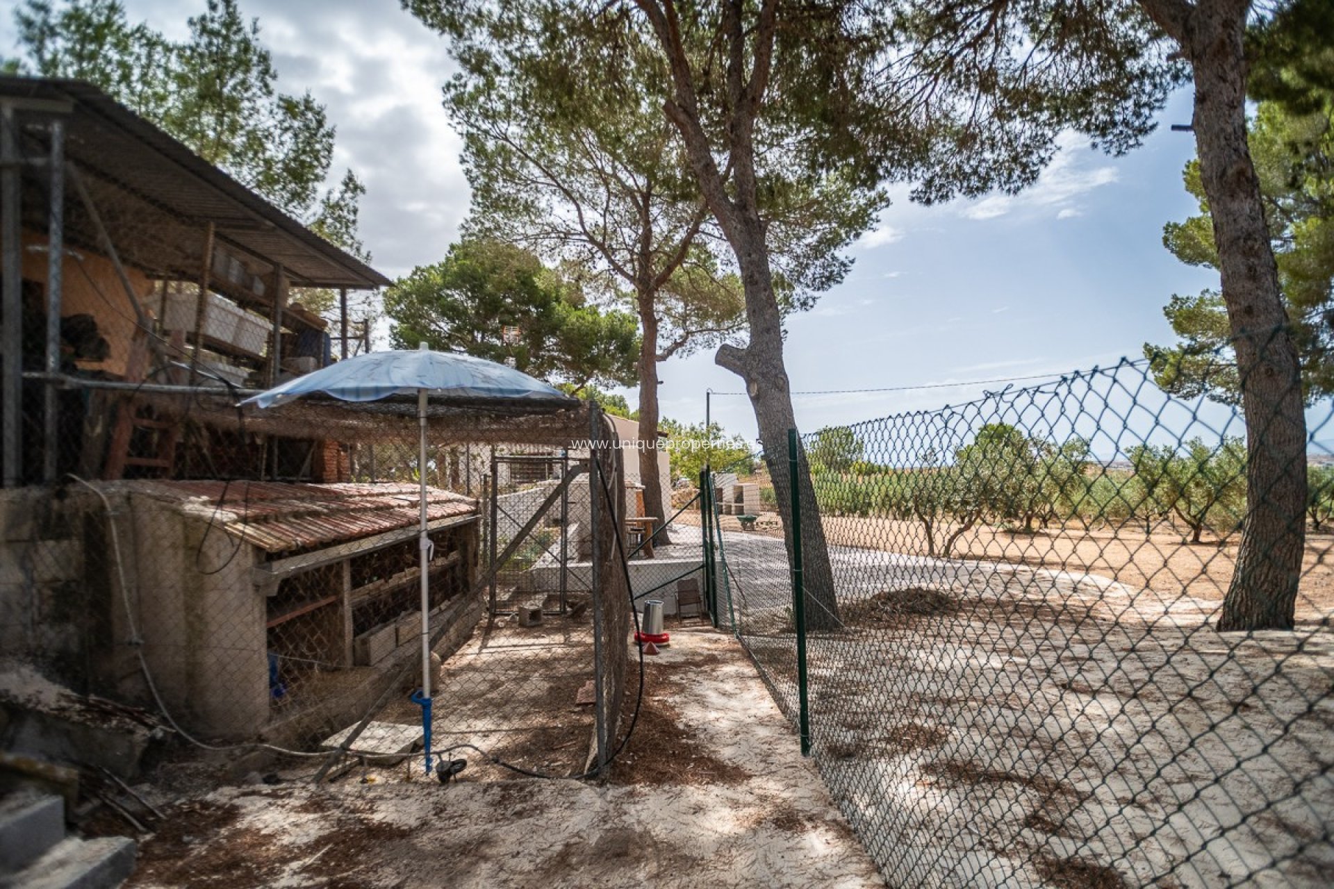 Resale - House -
LA TERCIA - La Tercia