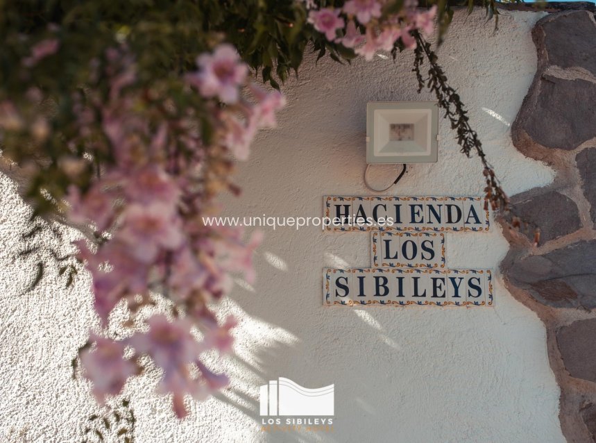 Resale - House -
Lorca