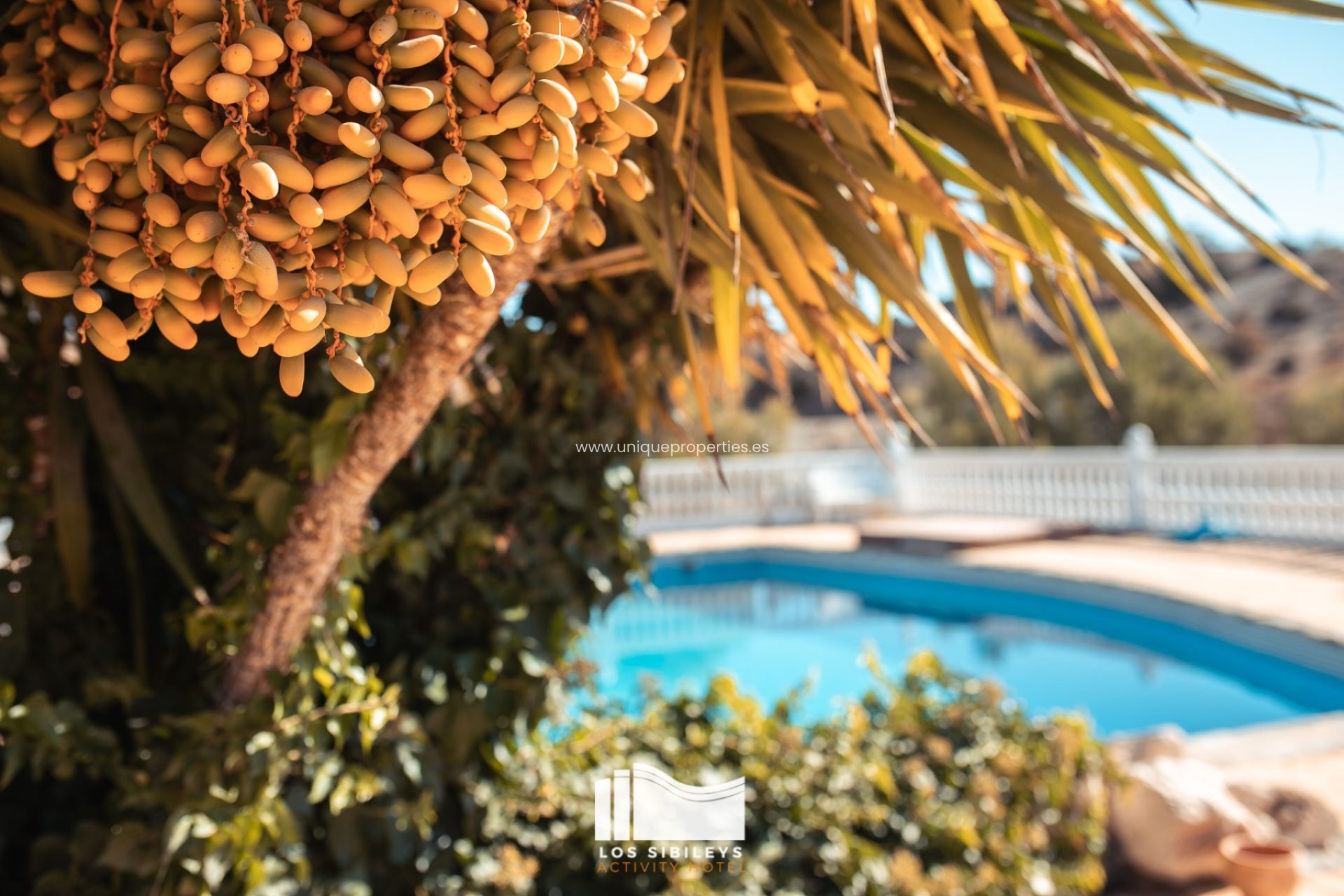 Resale - House -
Lorca