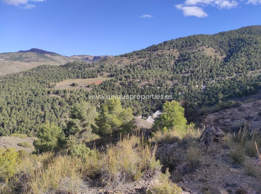 Resale - Land -
Bayarque