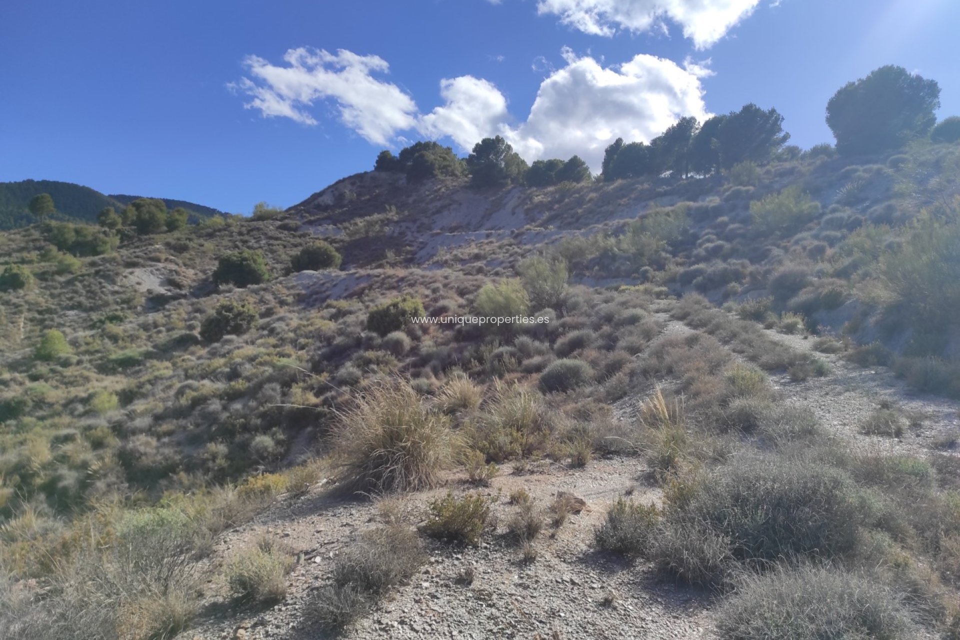 Resale - Land -
Bayarque