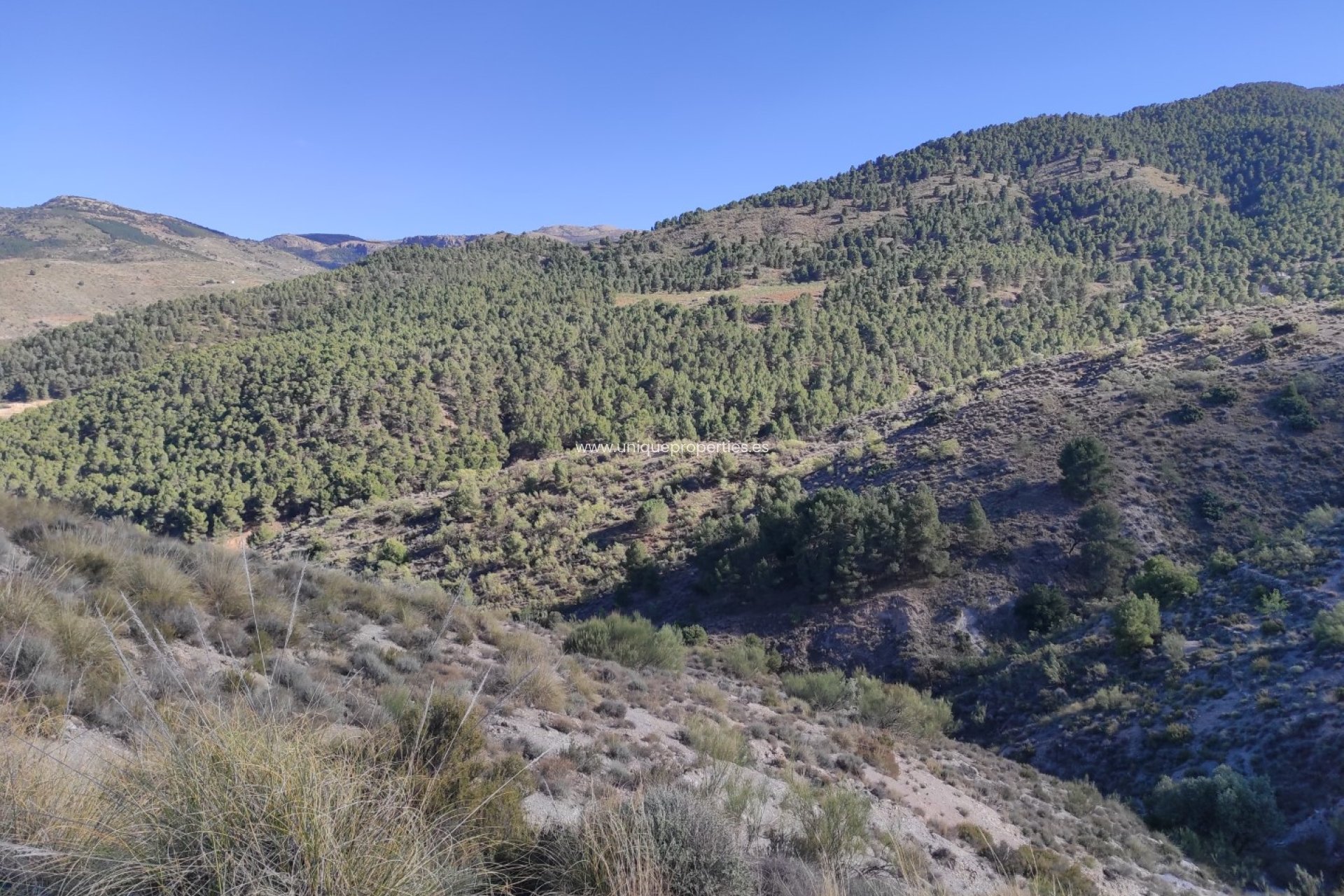 Resale - Land -
Bayarque