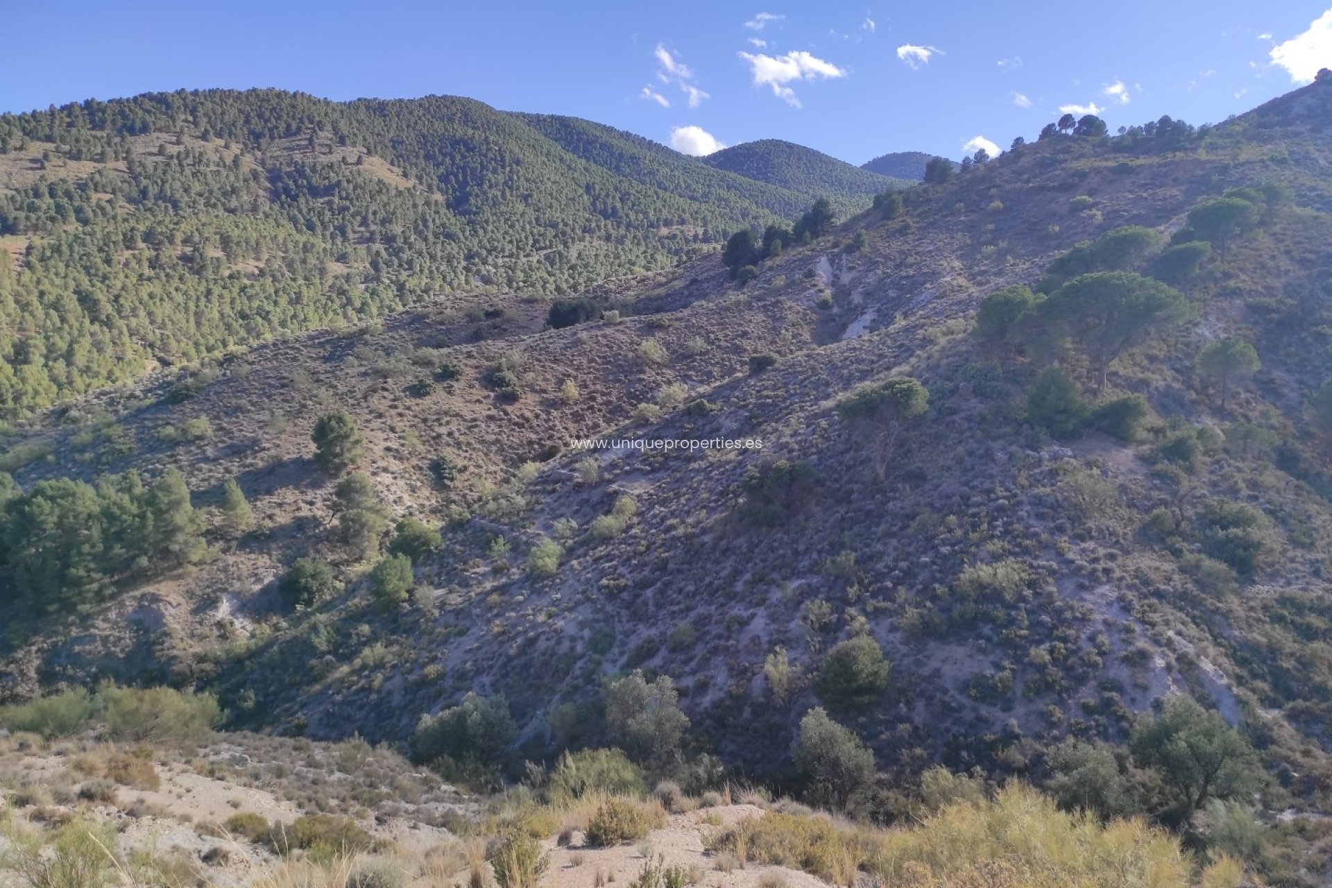 Resale - Land -
Bayarque