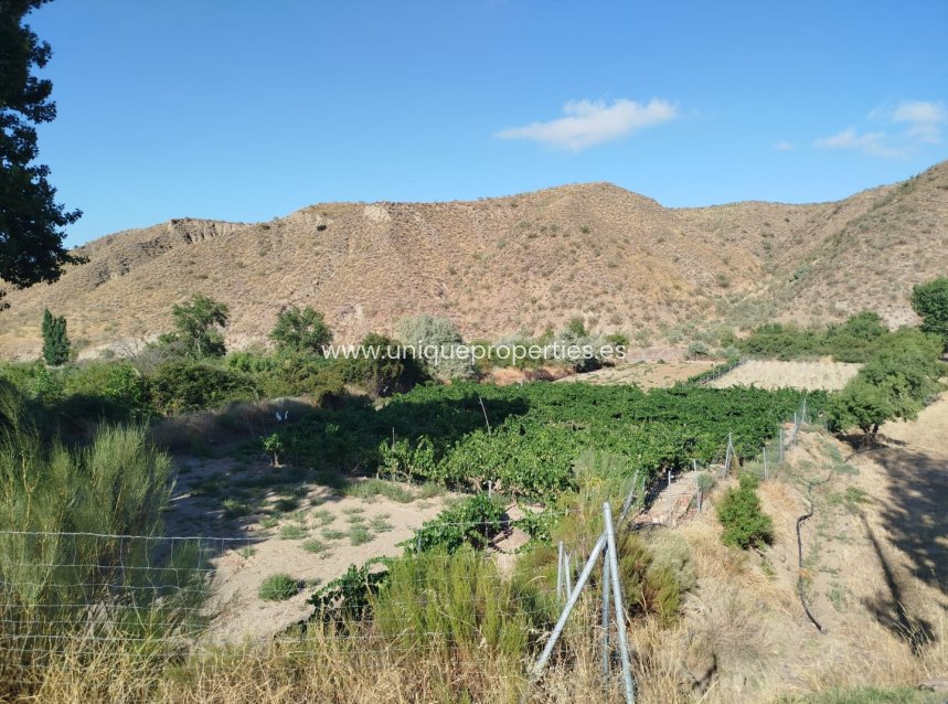 Resale - Land -
Caniles