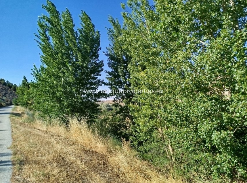 Resale - Land -
Caniles