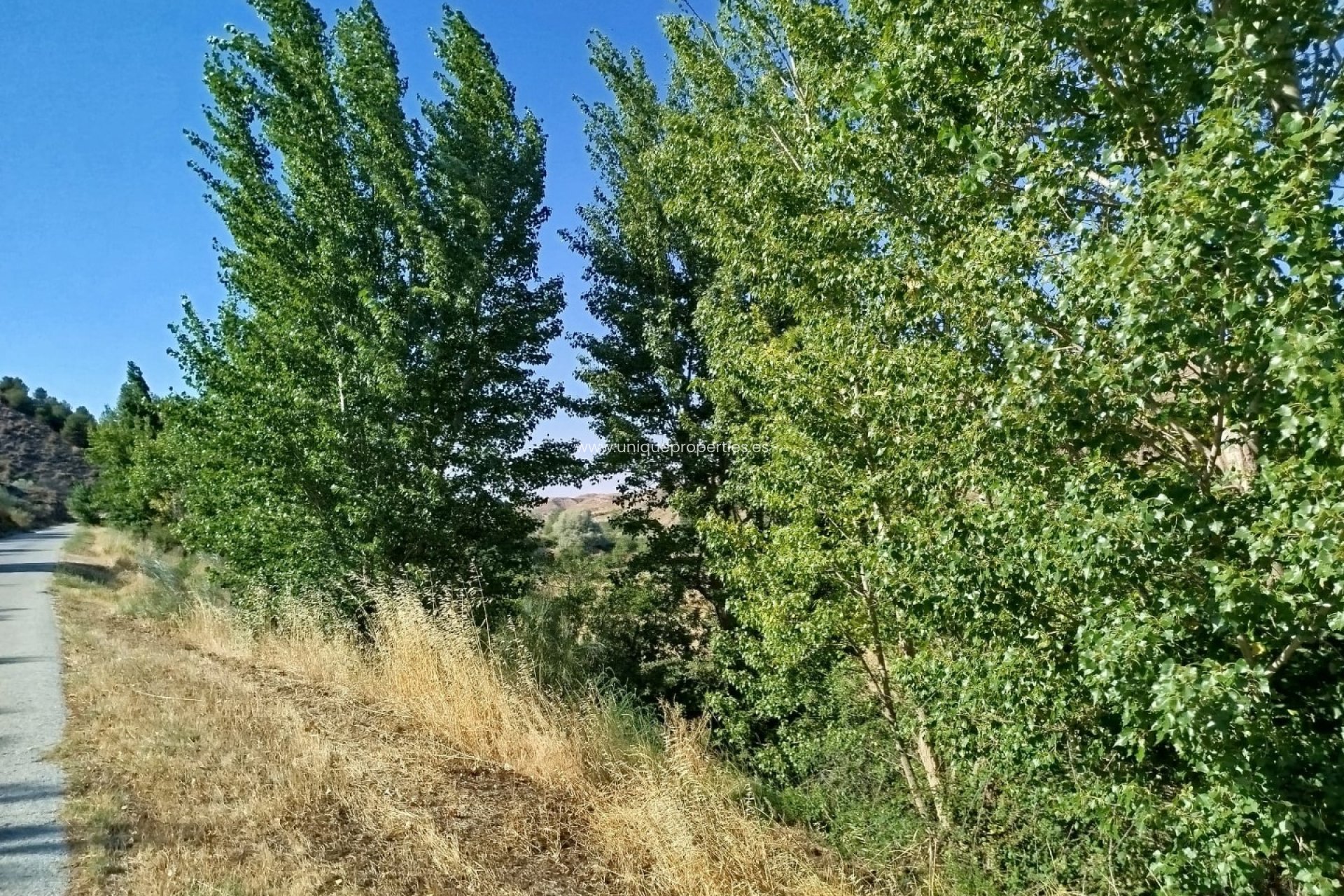 Resale - Land -
Caniles