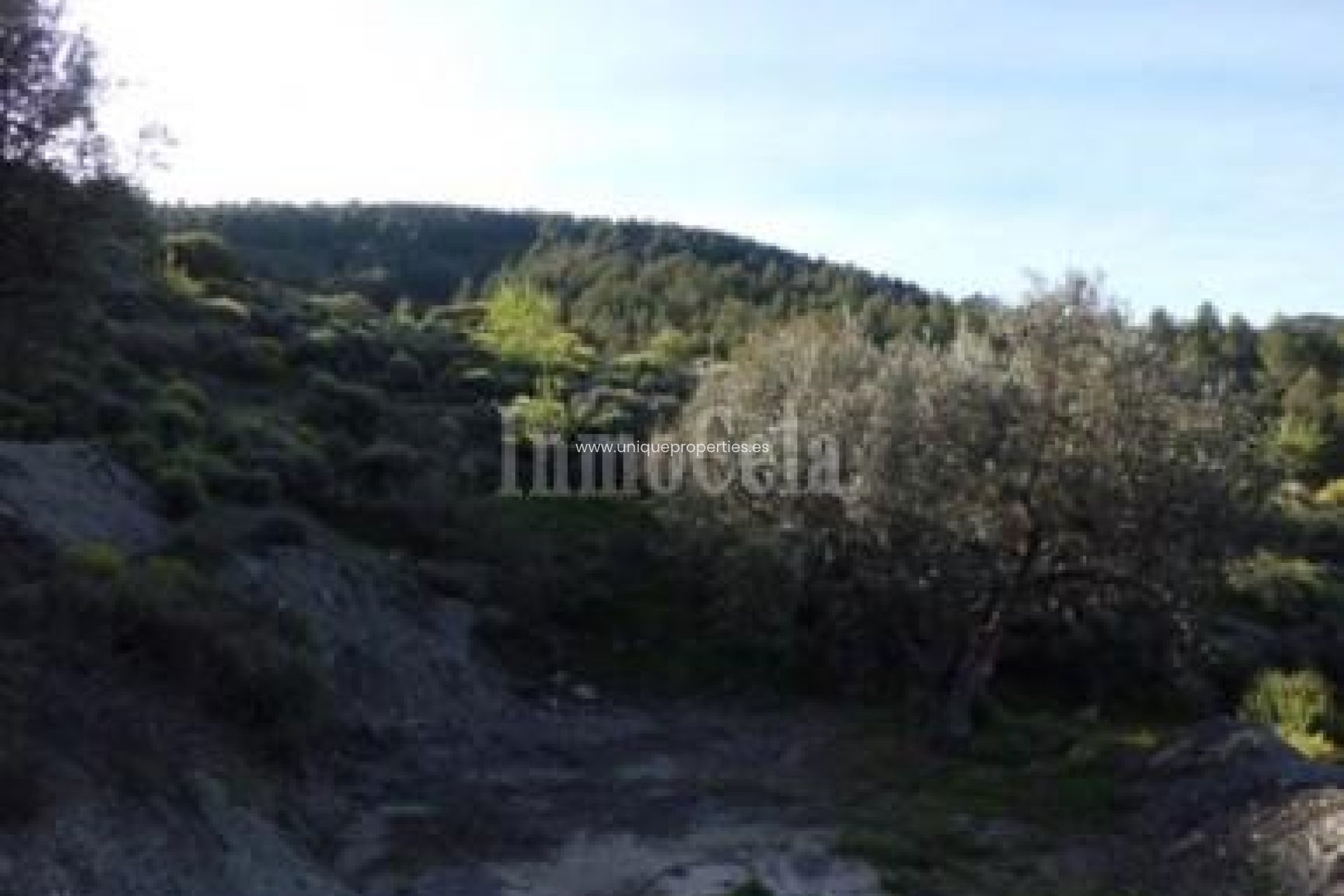 Resale - Land -
Purchena