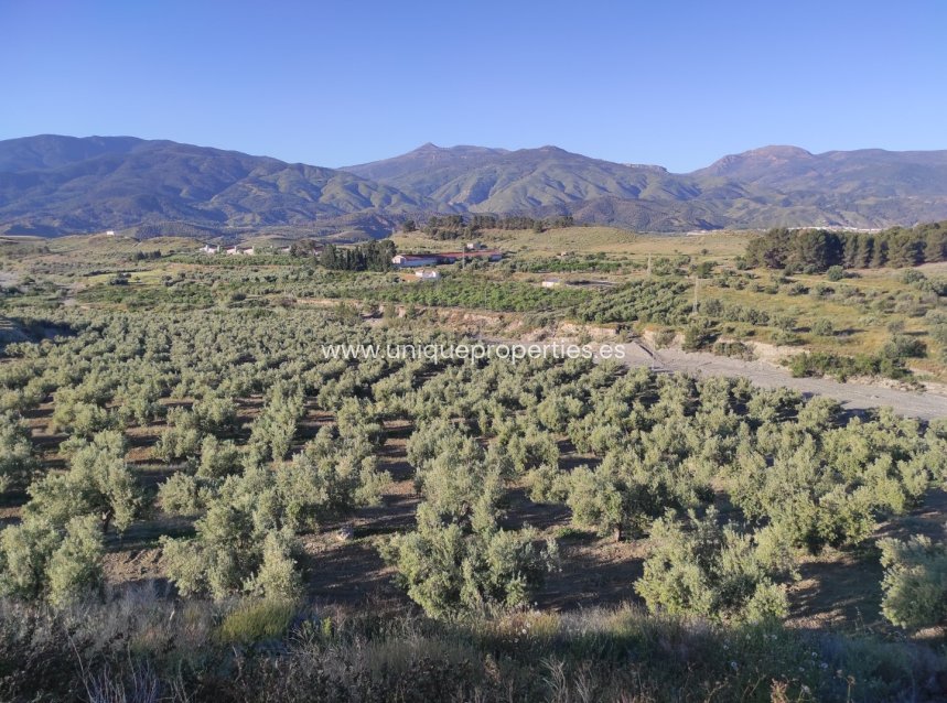 Resale - Land -
Somontin