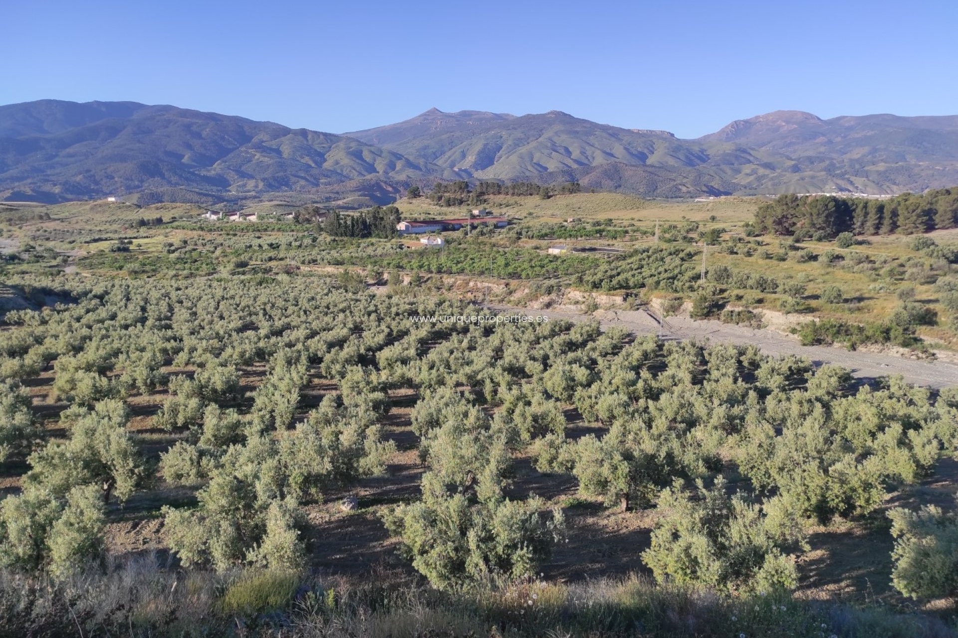 Resale - Land -
Somontin
