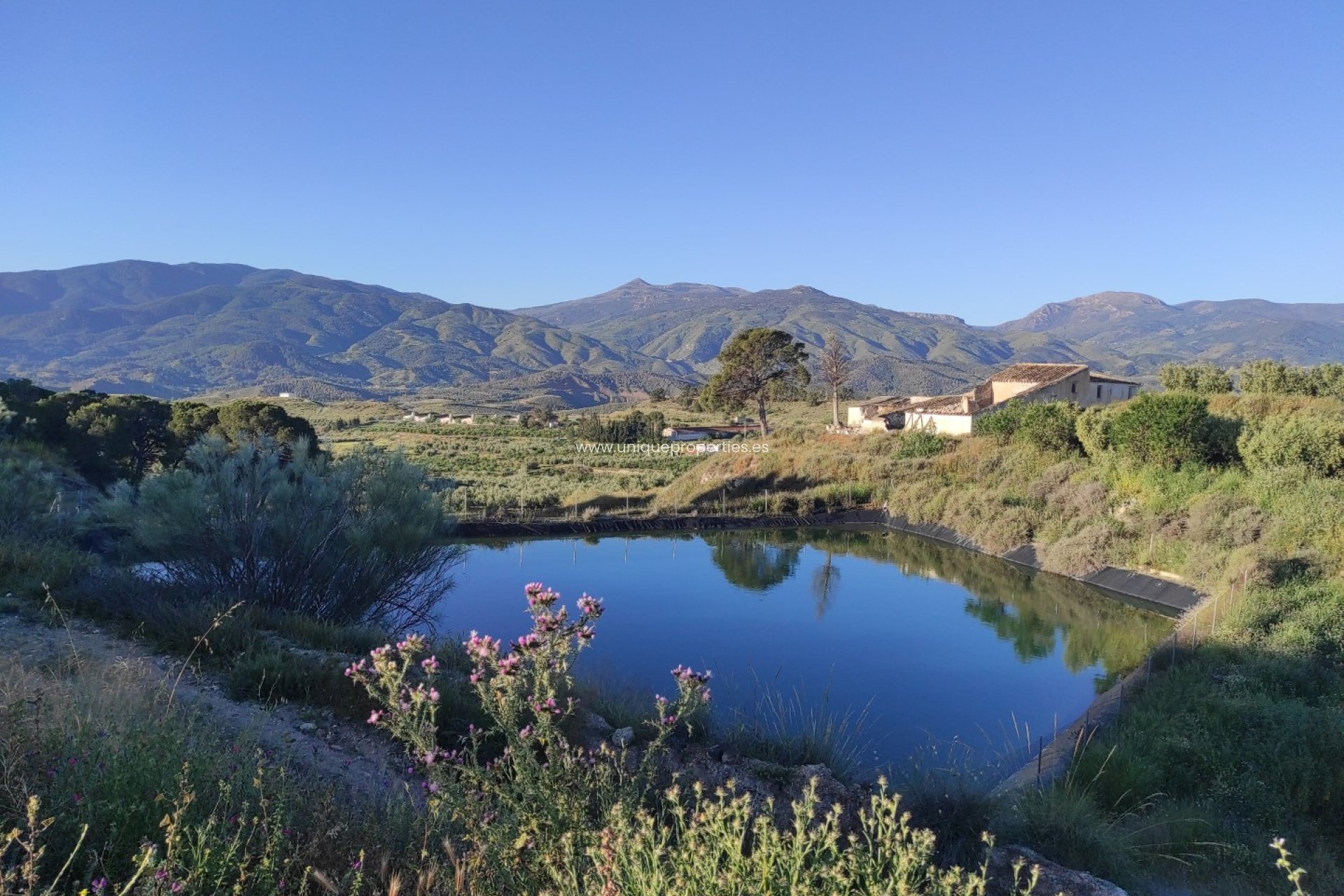 Resale - Land -
Somontin