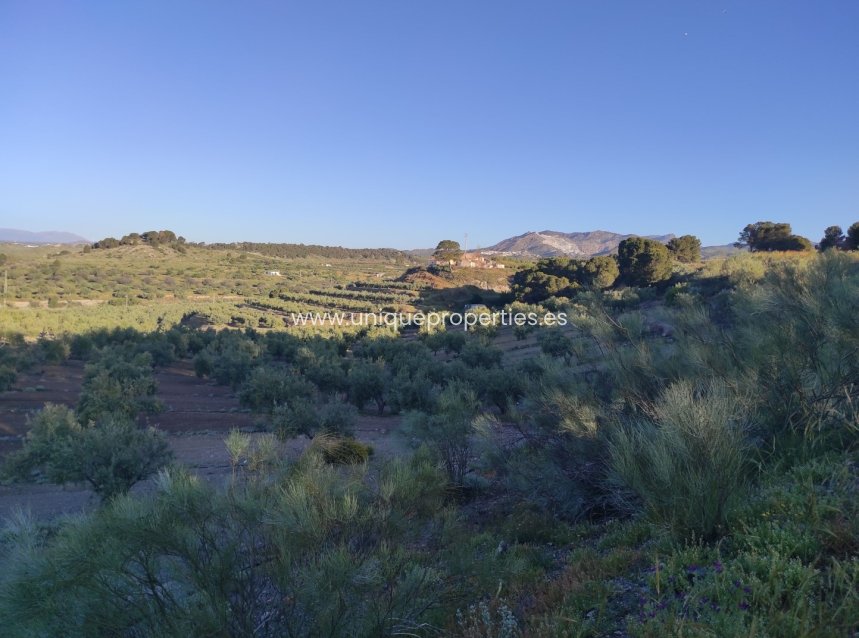 Resale - Land -
Somontin