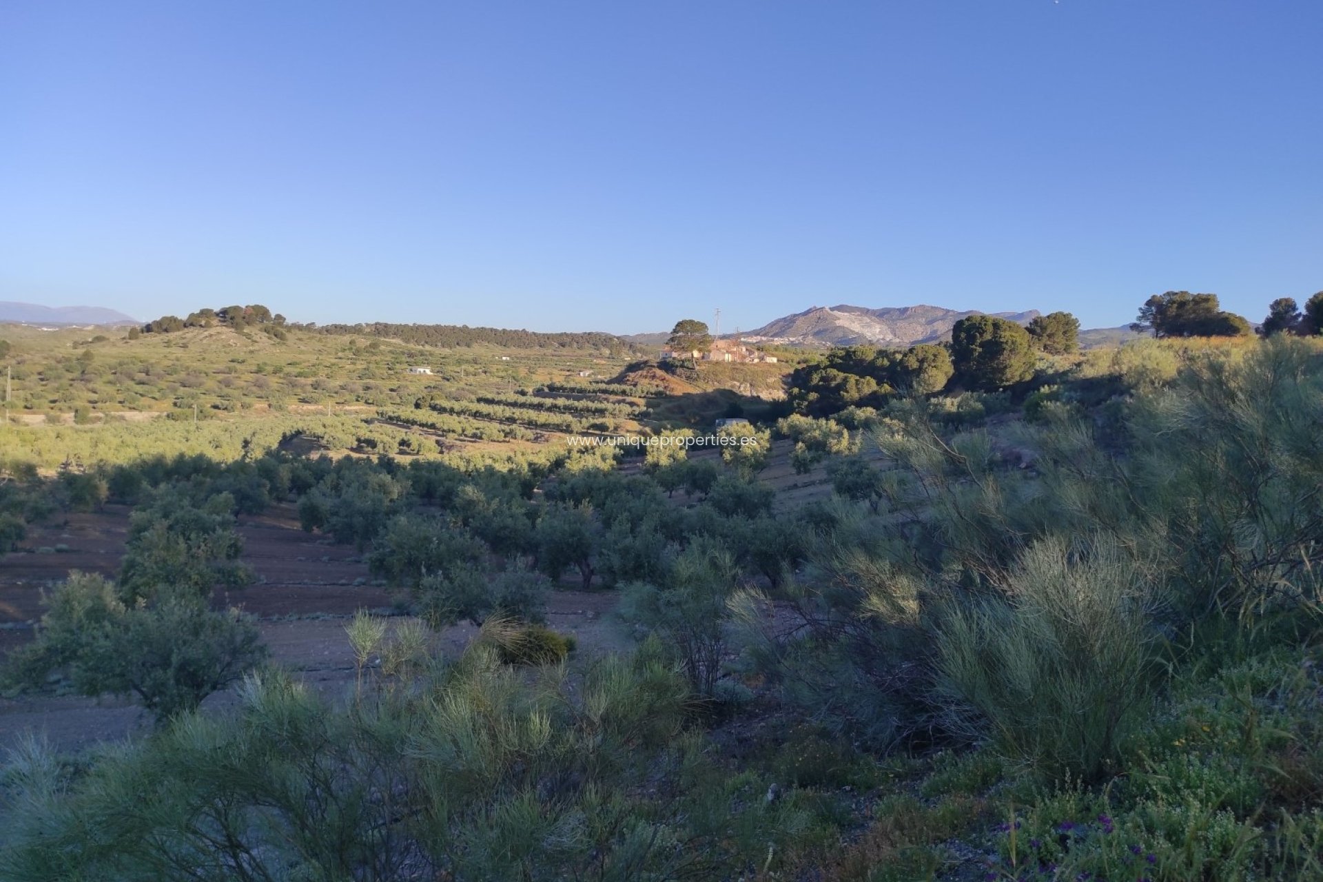 Resale - Land -
Somontin