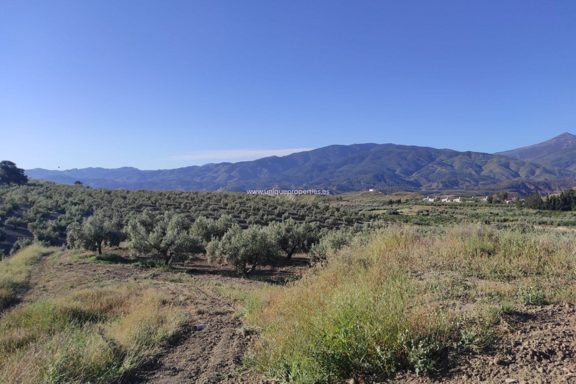 Resale - Land -
Somontin