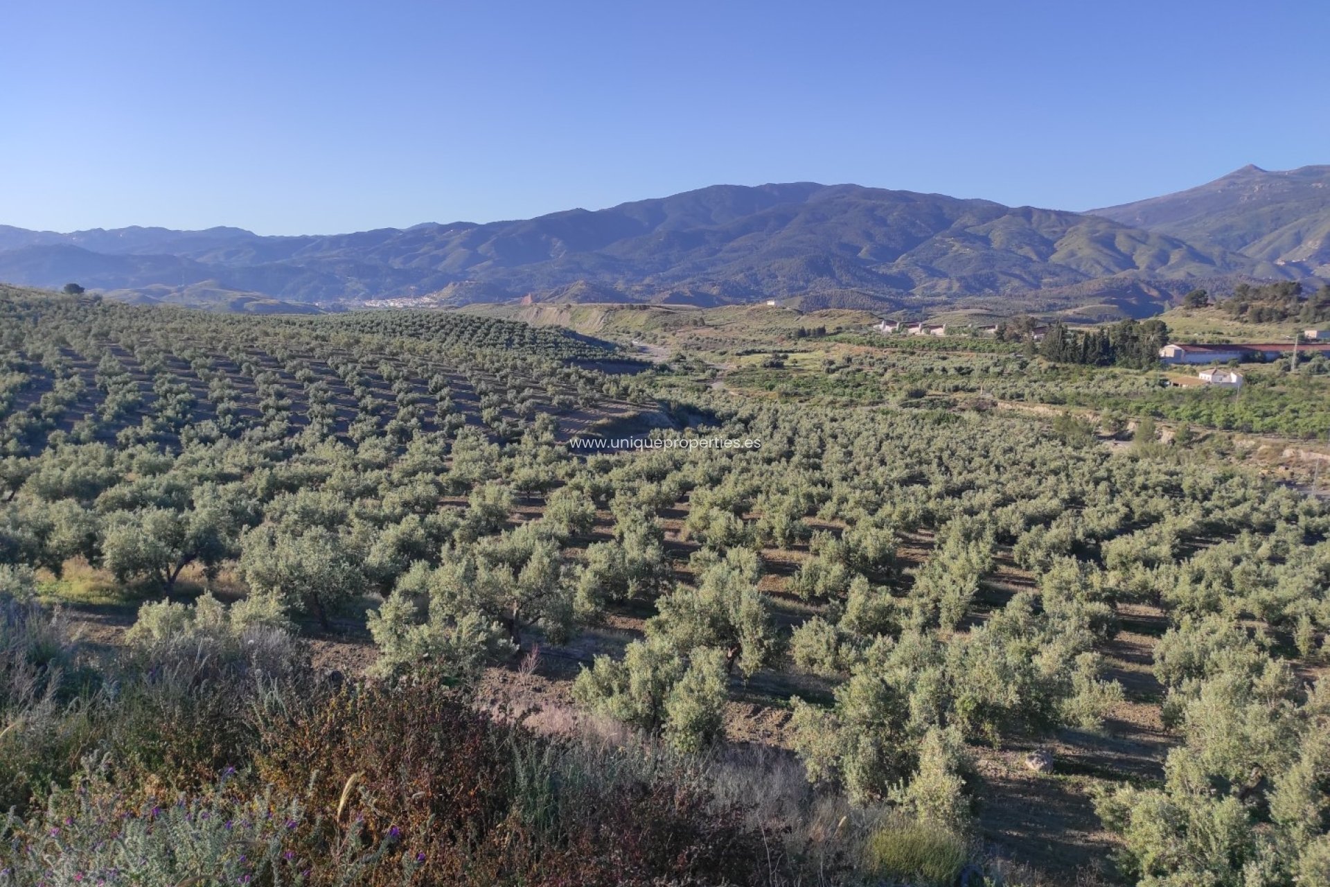 Resale - Land -
Somontin