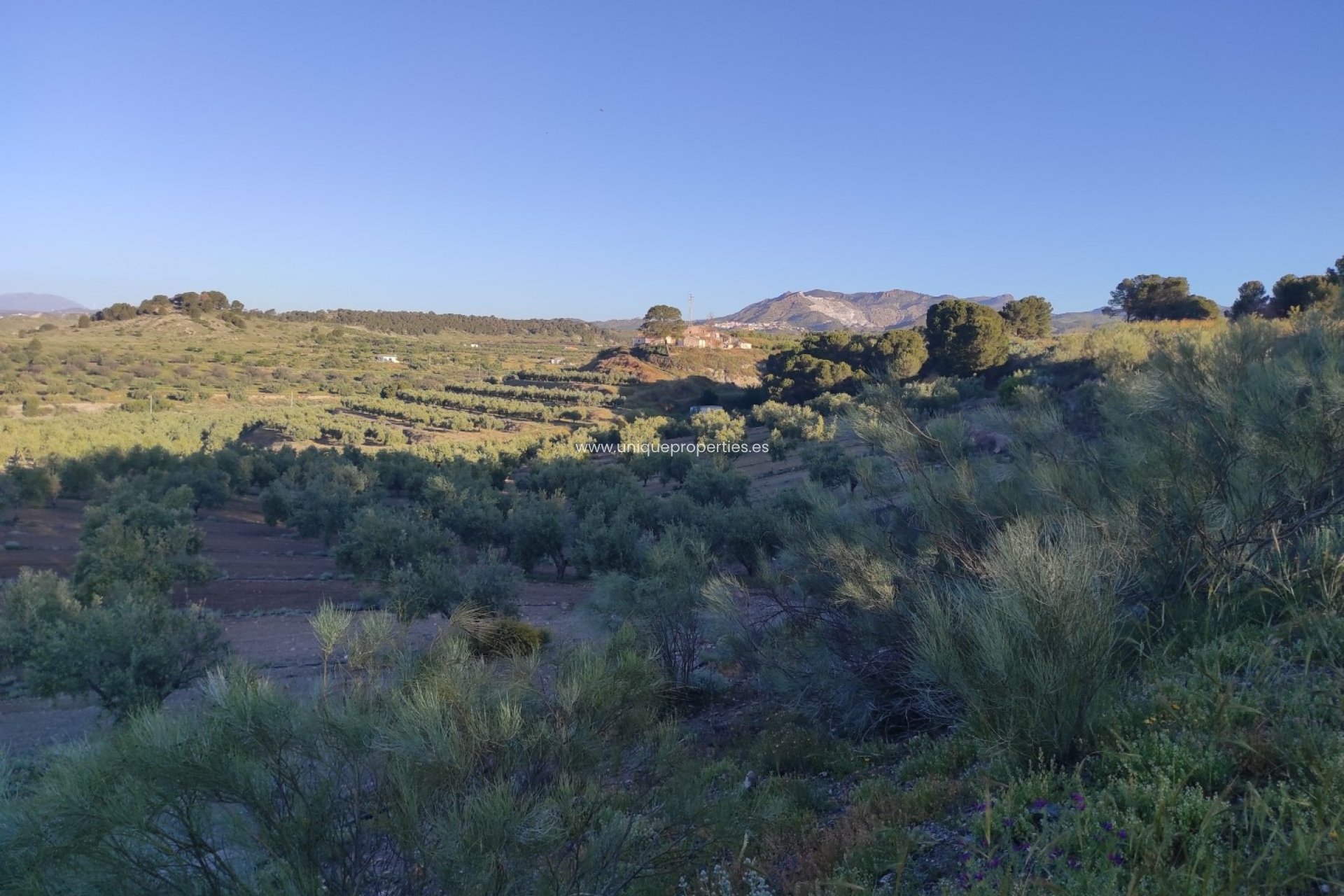 Resale - Land -
Somontin