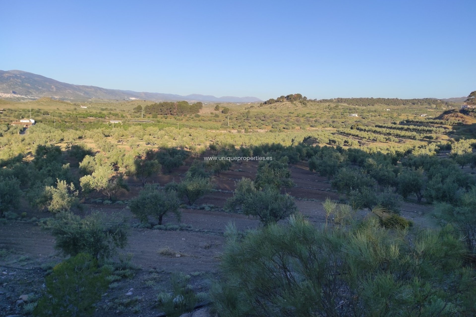 Resale - Land -
Somontin