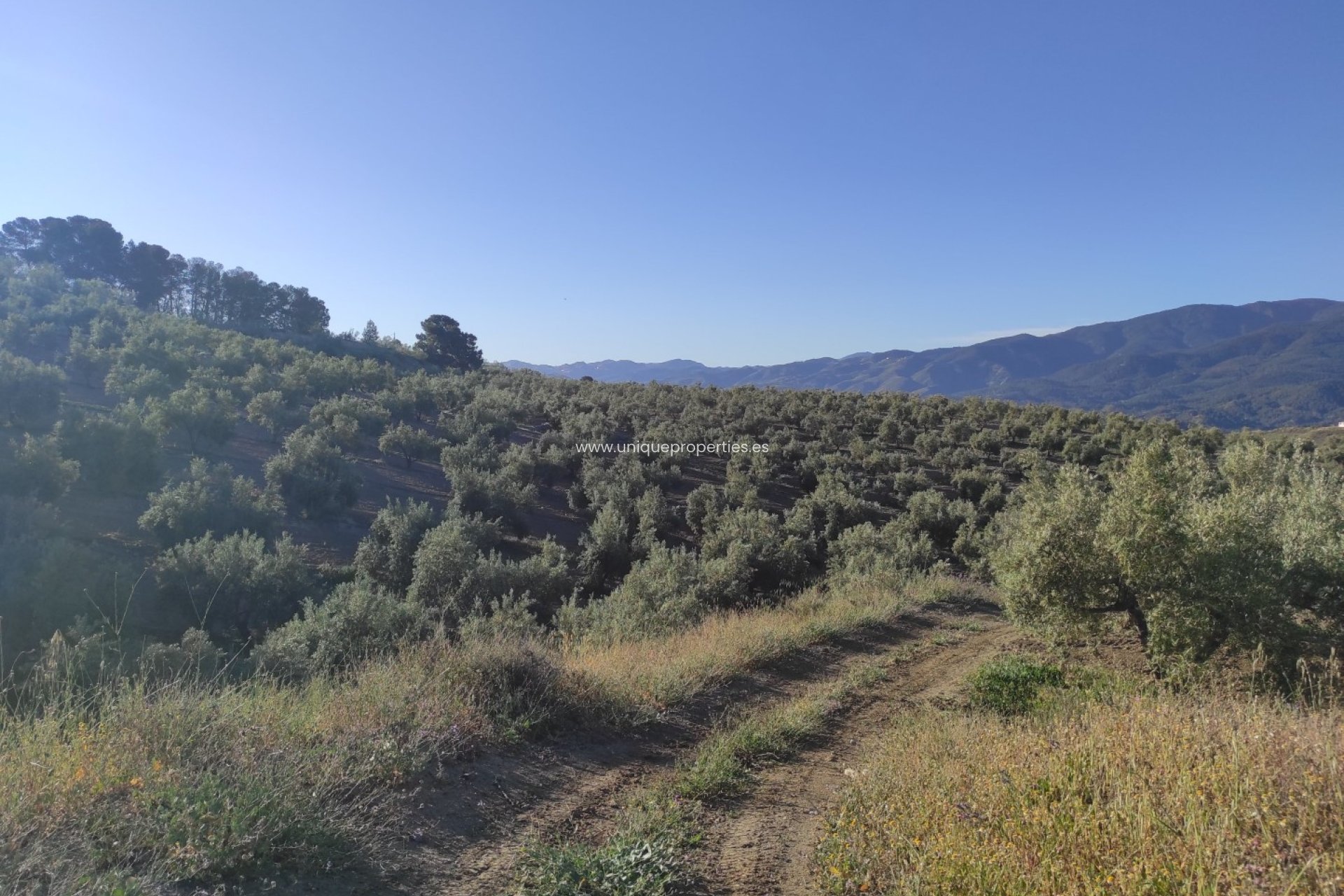 Resale - Land -
Somontin