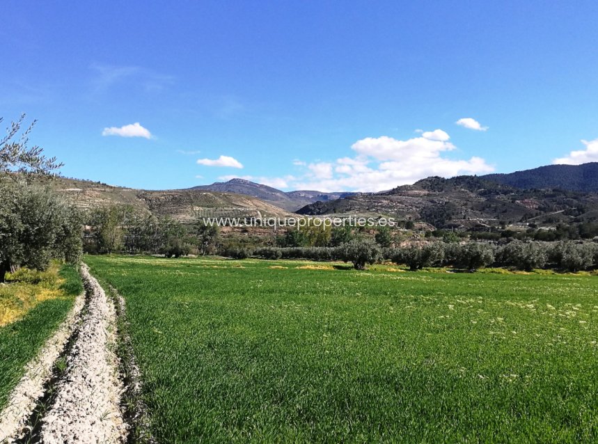 Resale - Land -
Tijola