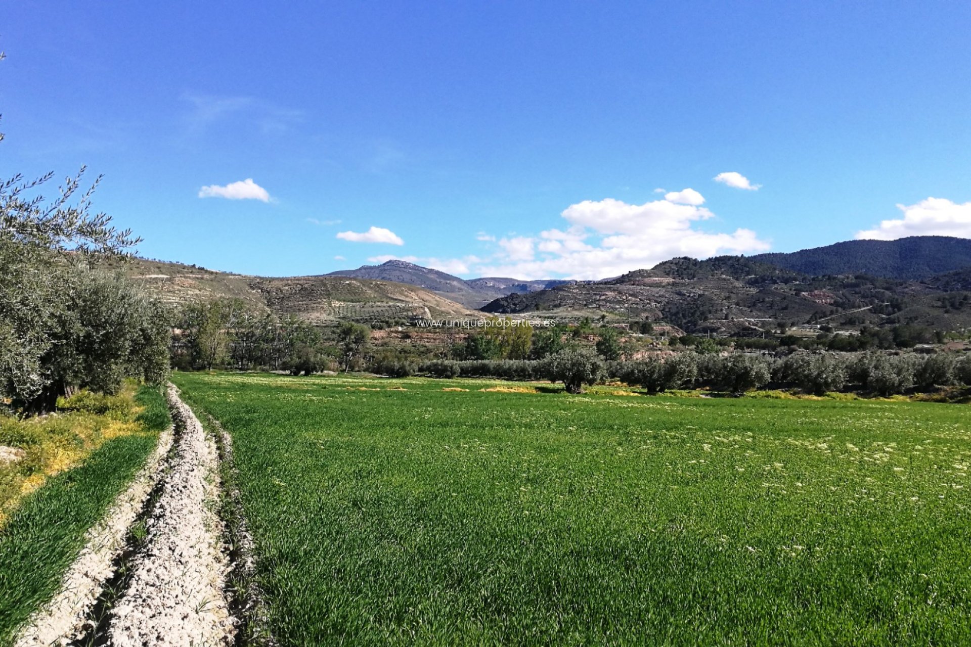 Resale - Land -
Tijola