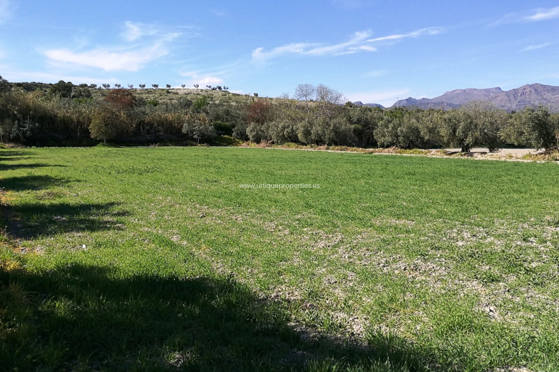 Resale - Land -
Tijola