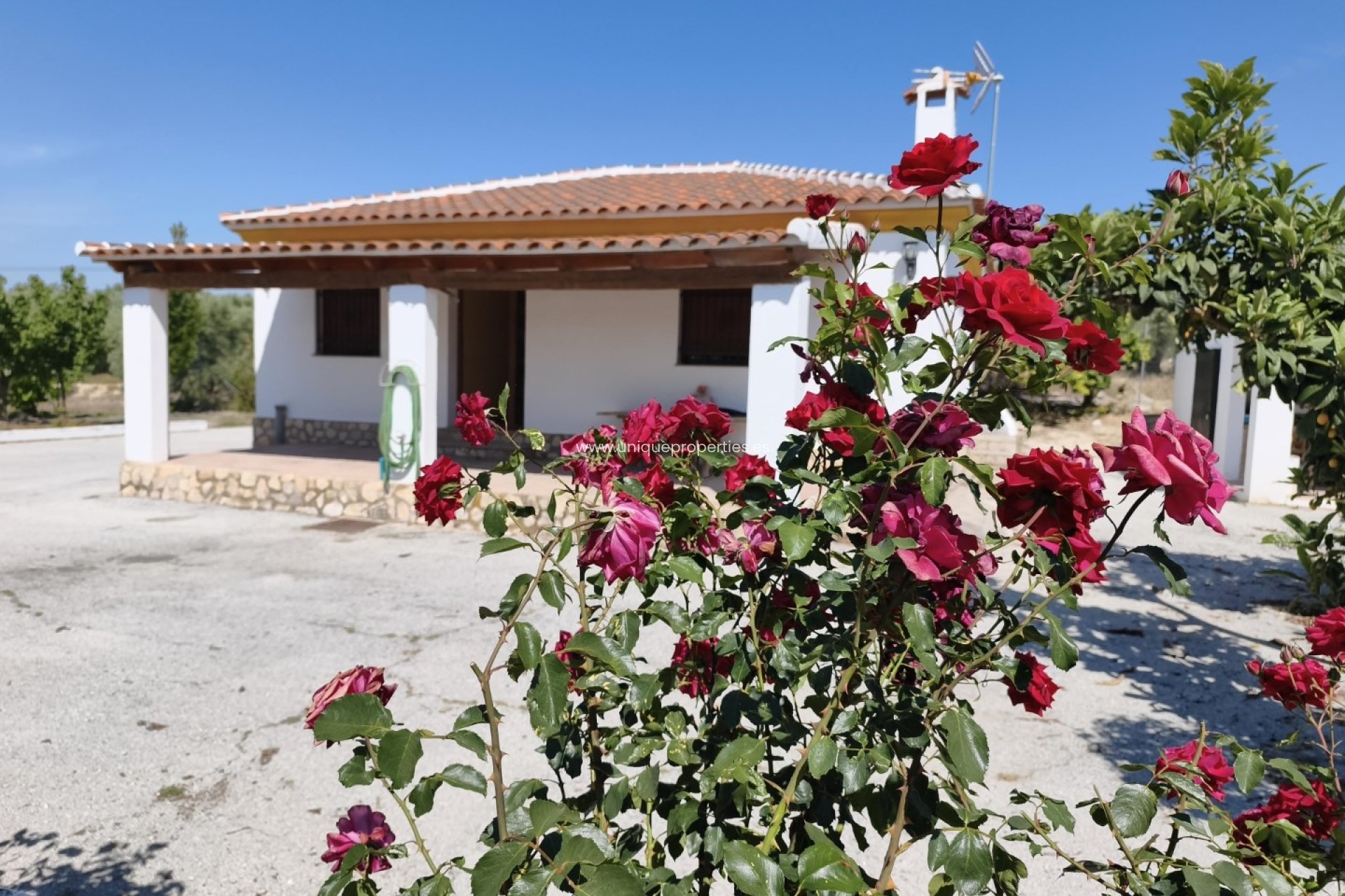 Resale - Villa -
Huescar