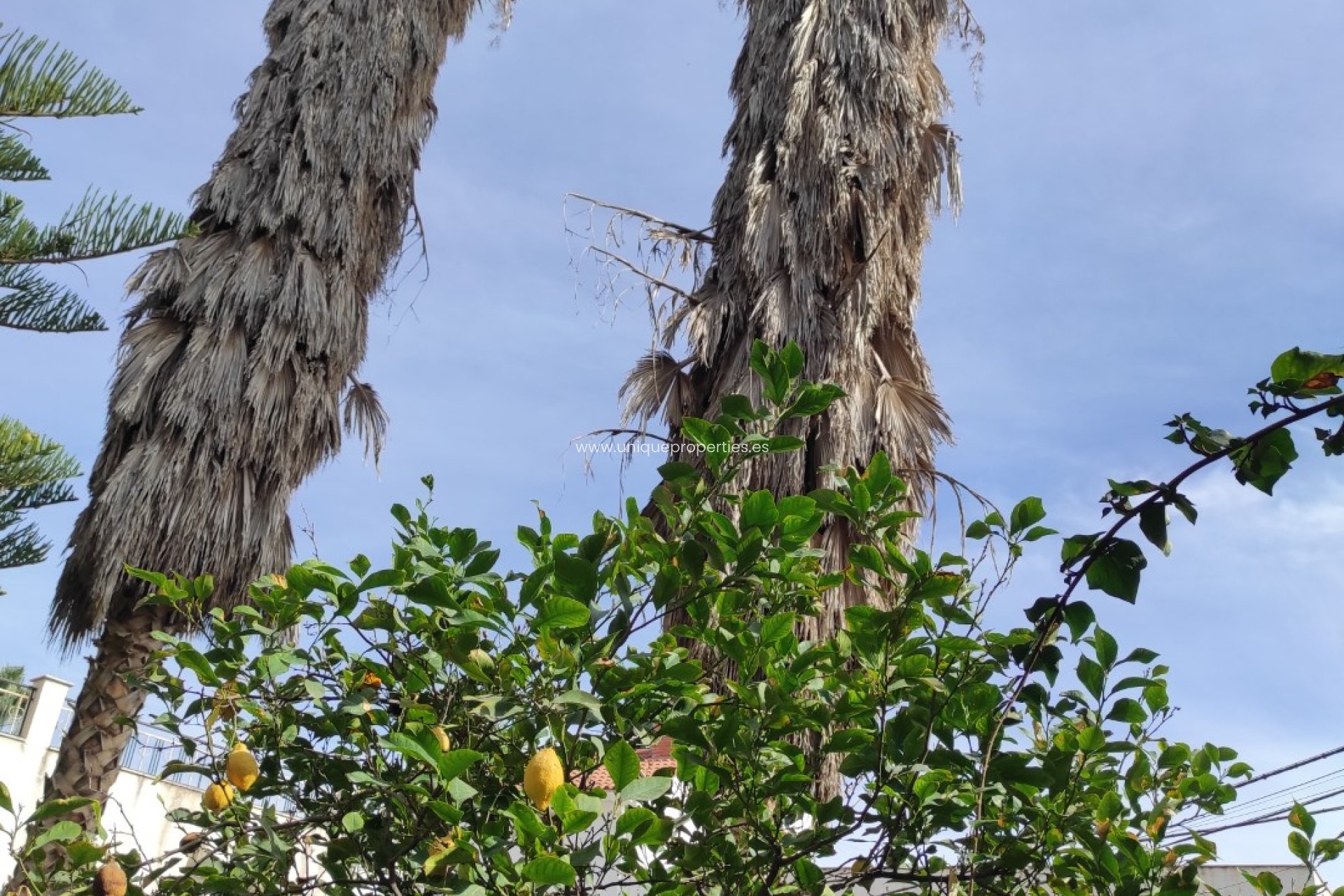 Resale - Village House -
Olula del Rio