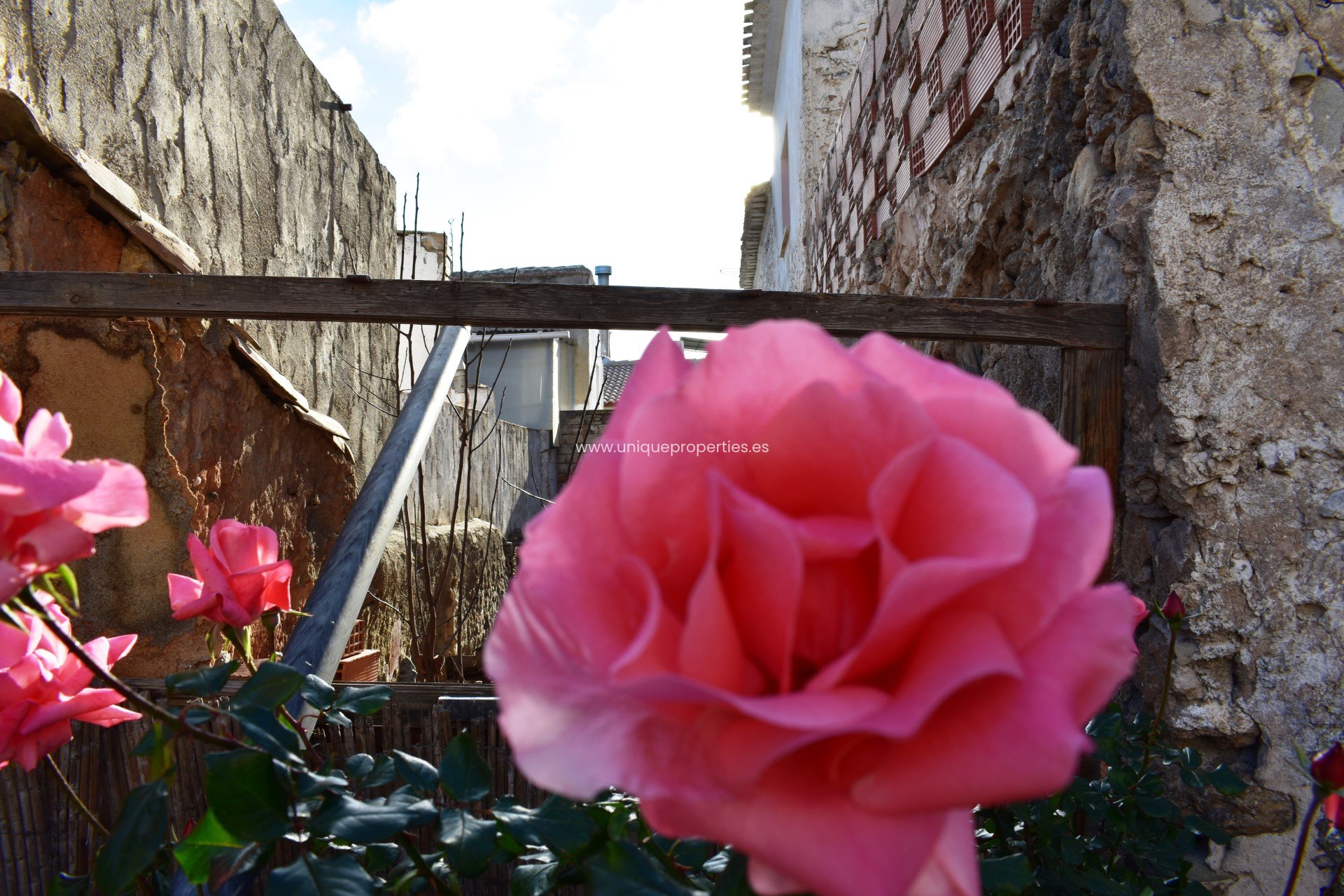 Resale - Village House -
Purchena