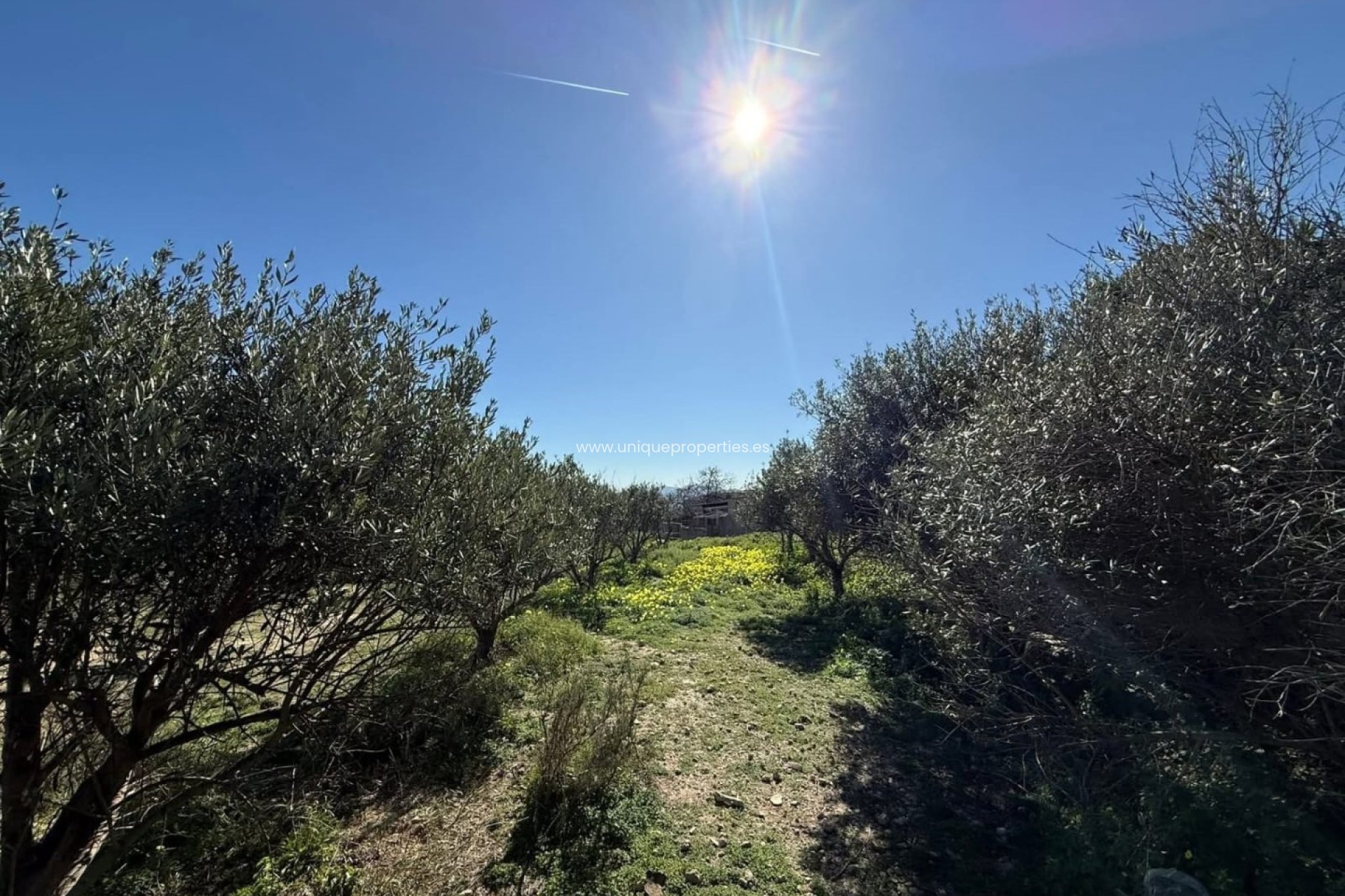 Reventa - Cortijo -
Albox