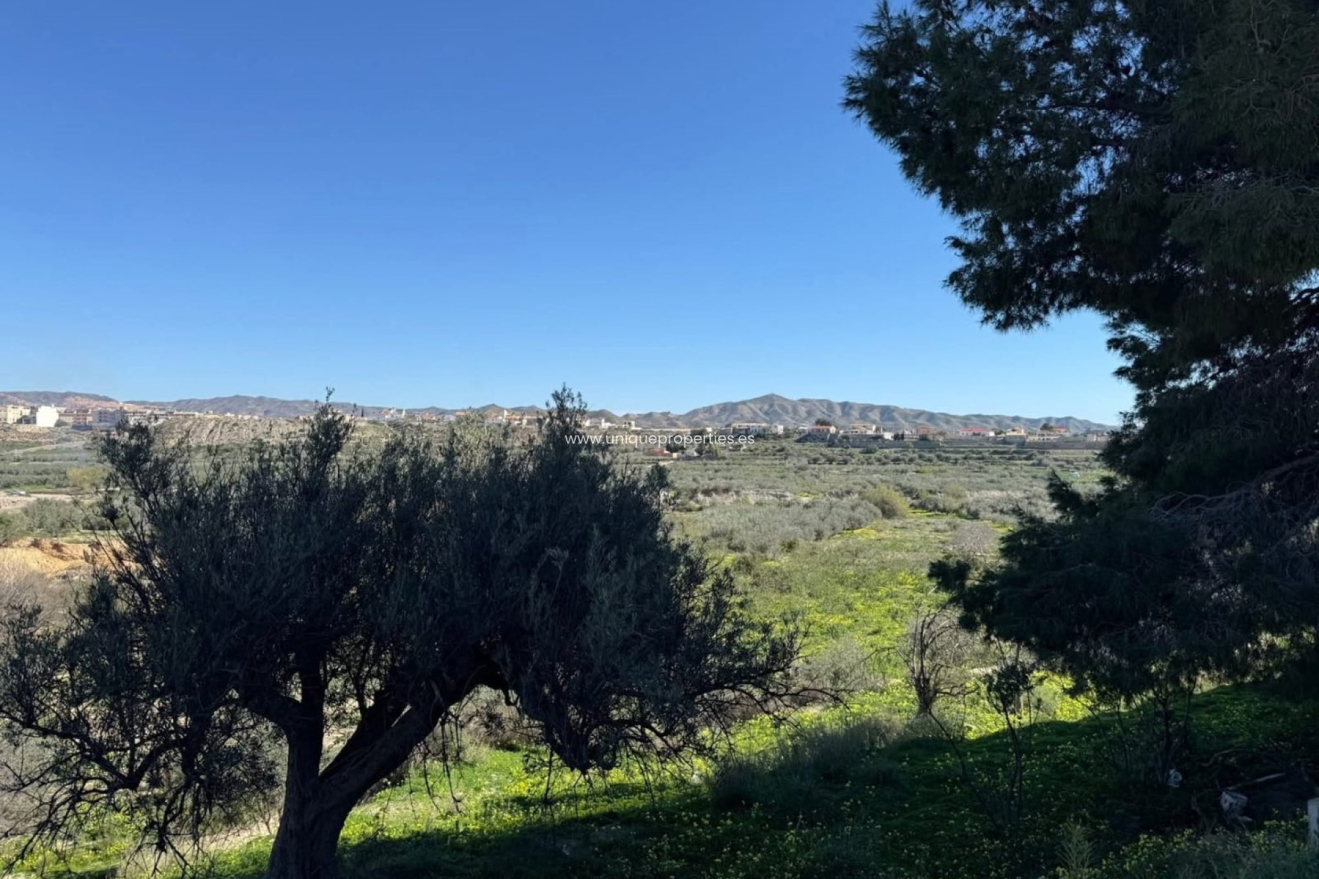 Reventa - Cortijo -
Albox